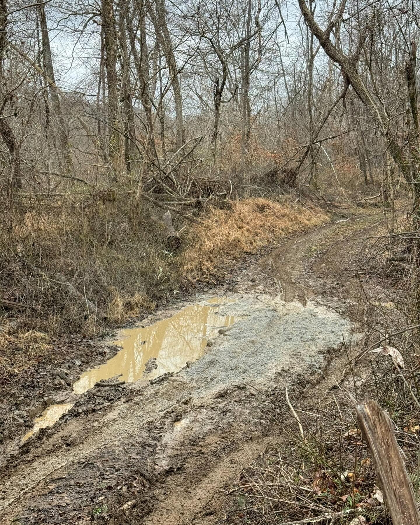 Pretty excited about this before and after. Goodbye mud pit.