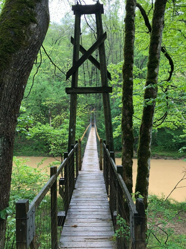 Wooden suspension bridge in a dense green forest, spanning over a river.