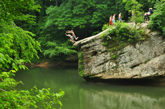 People cliff jumping into a river surrounded by lush greenery.