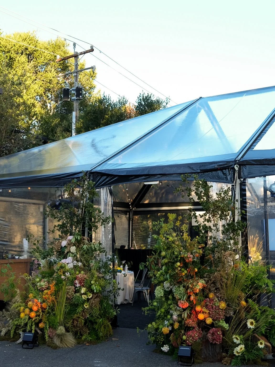 Inspired by a cozy campfire surrounded by the majestic redwood forest 🌲. 

The good ones always start with little sparks that shoot off once it gets going (a plus if it gives ya a little jump 🫨), feeling the drying heat on your face (especially on 