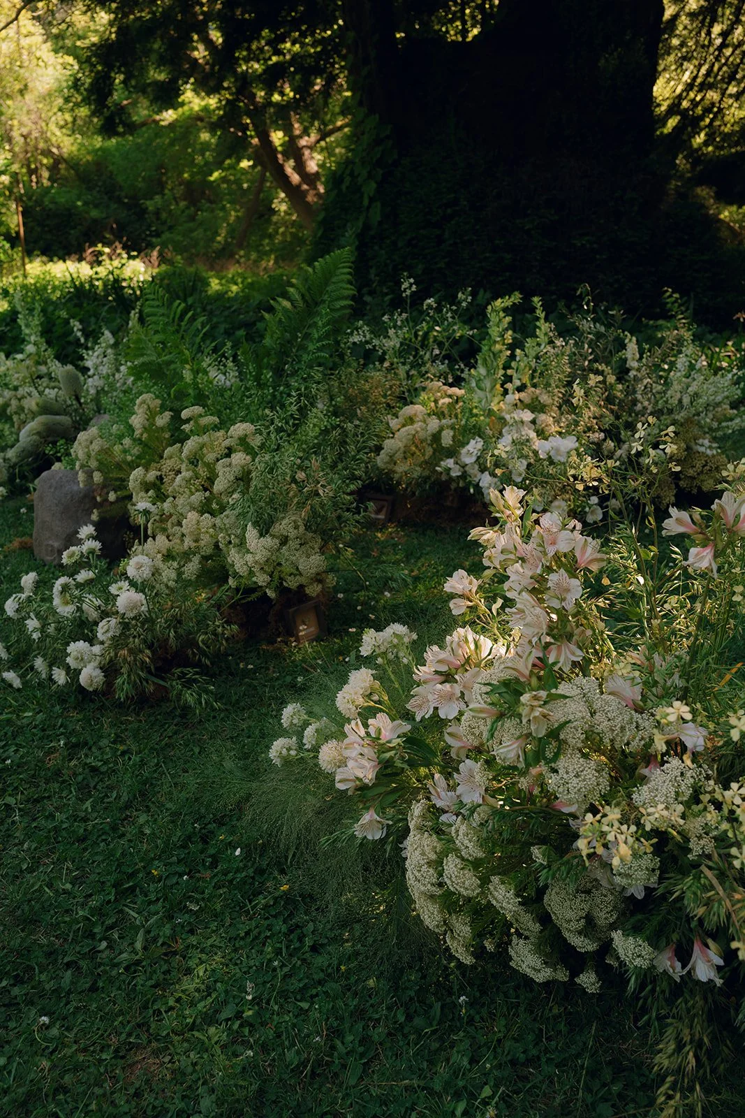 floral installation under the redwood trees