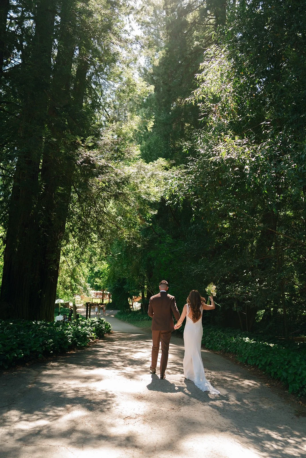 bride and groom walking within the redwood forest
