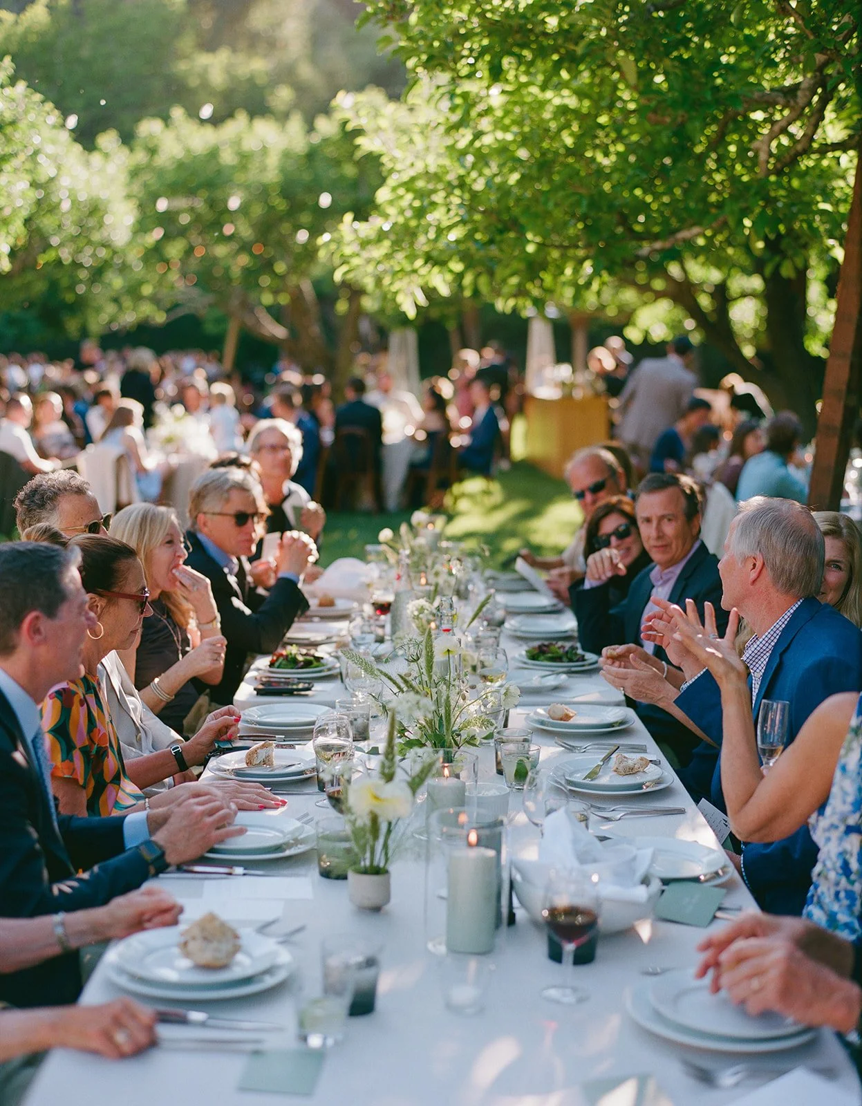 guests toast to celebrate the new bride and groom