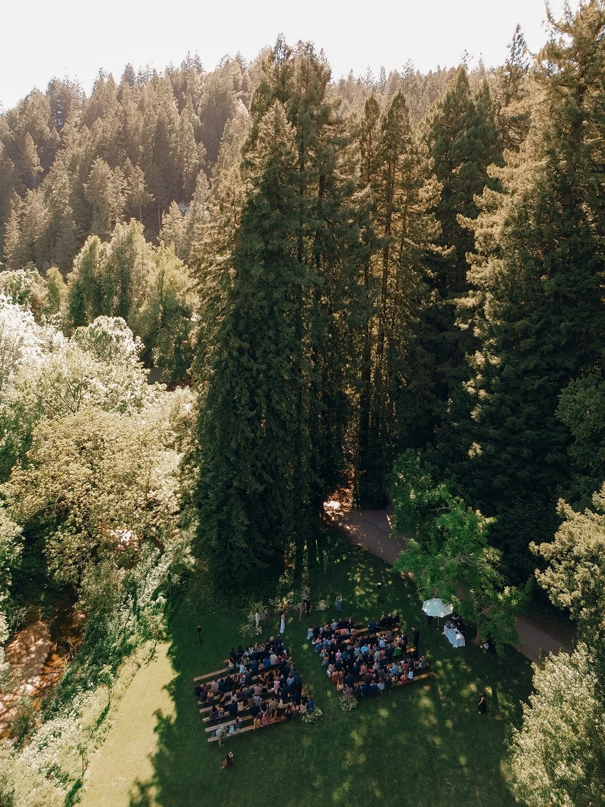 redwood wedding ceremony