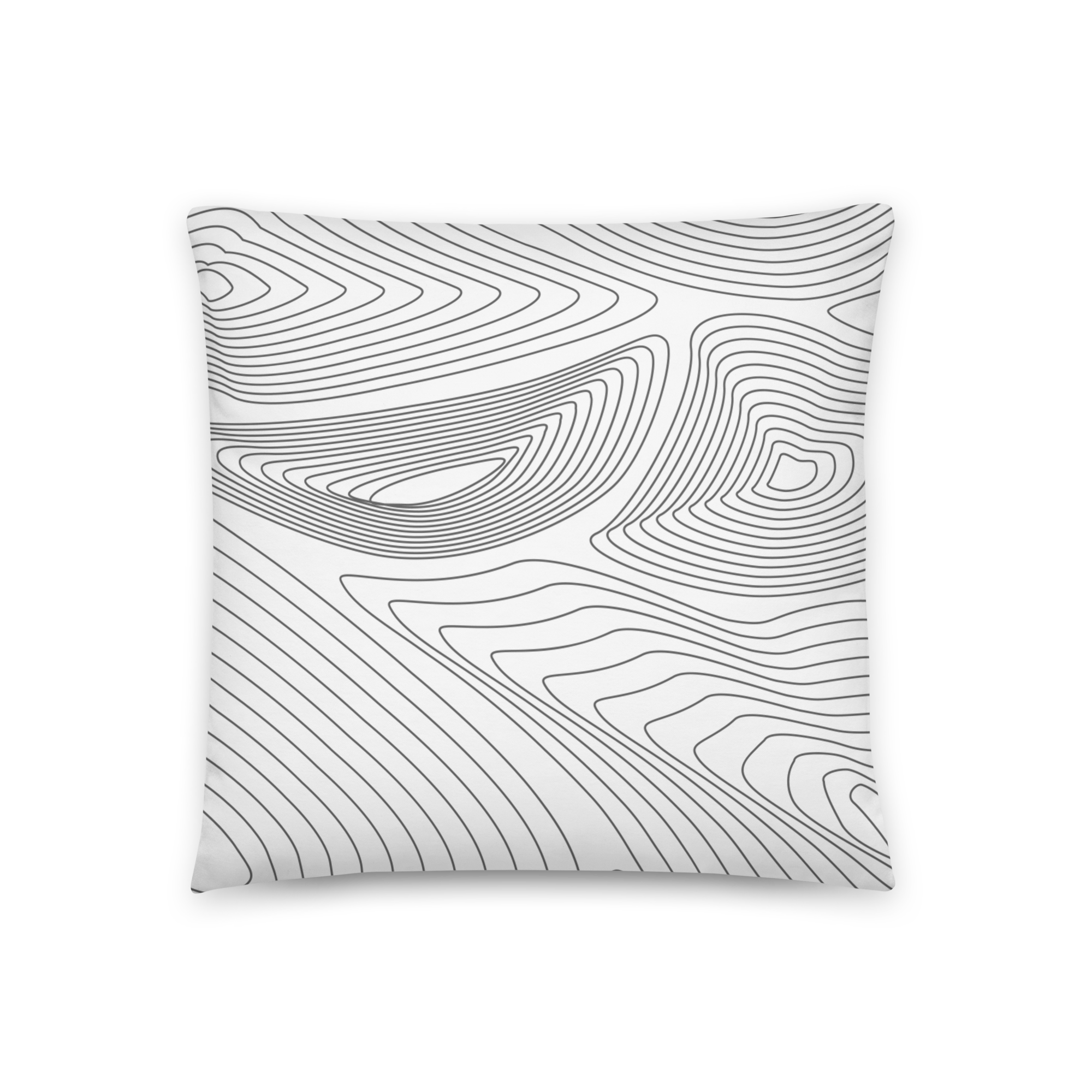 all-over-print-basic-pillow-18x18-back-63b3459b1acc0.png