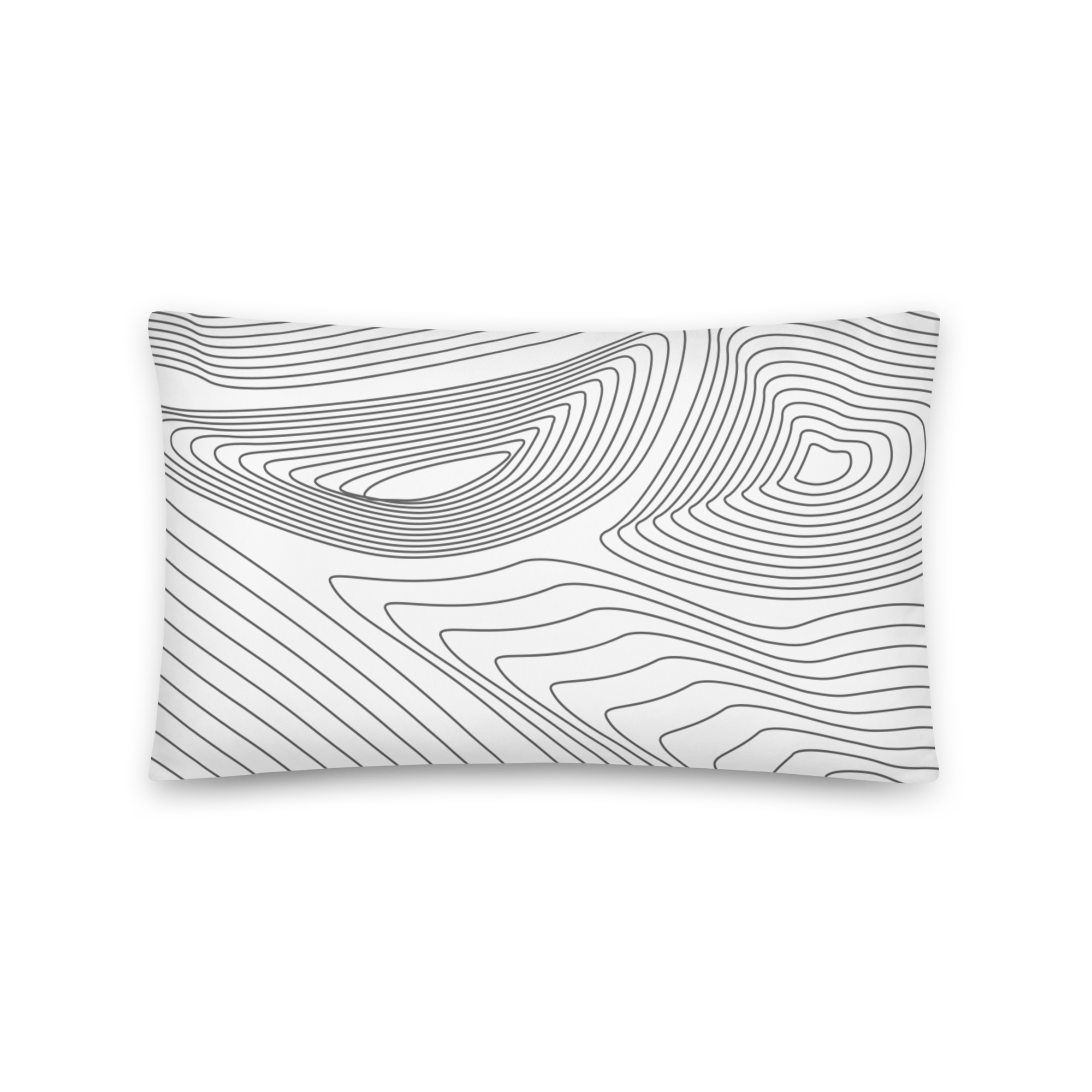all-over-print-basic-pillow-20x12-back-63b3459b1af3d.png
