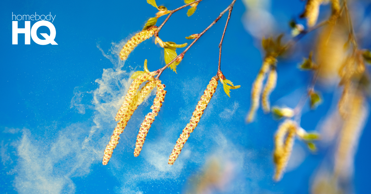 7 Tips to Pollen-Proof Your Home This Spring — homebodyHQ