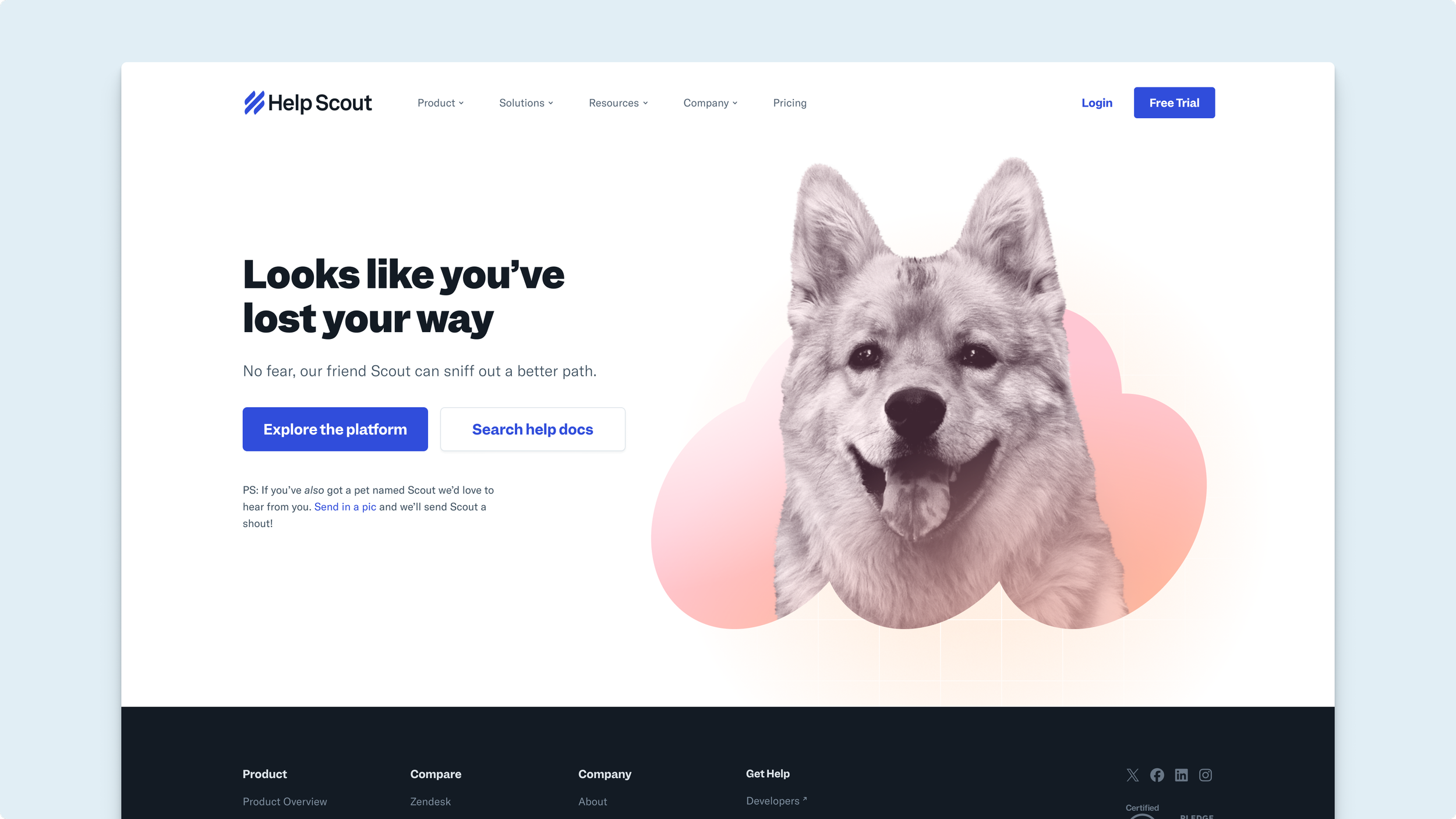 404 page (featuring a real pet scout named Scout!)