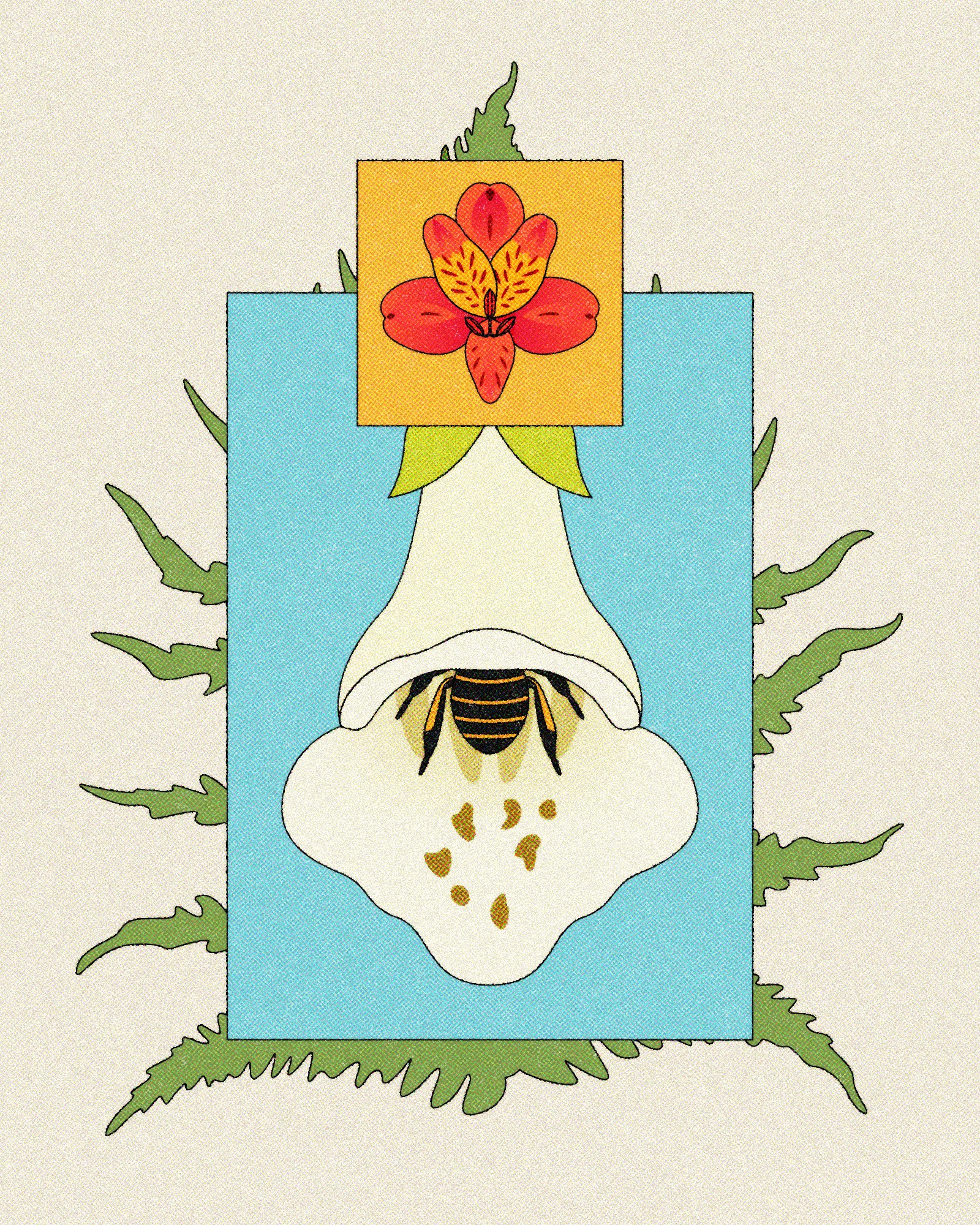 foxglove.jpg
