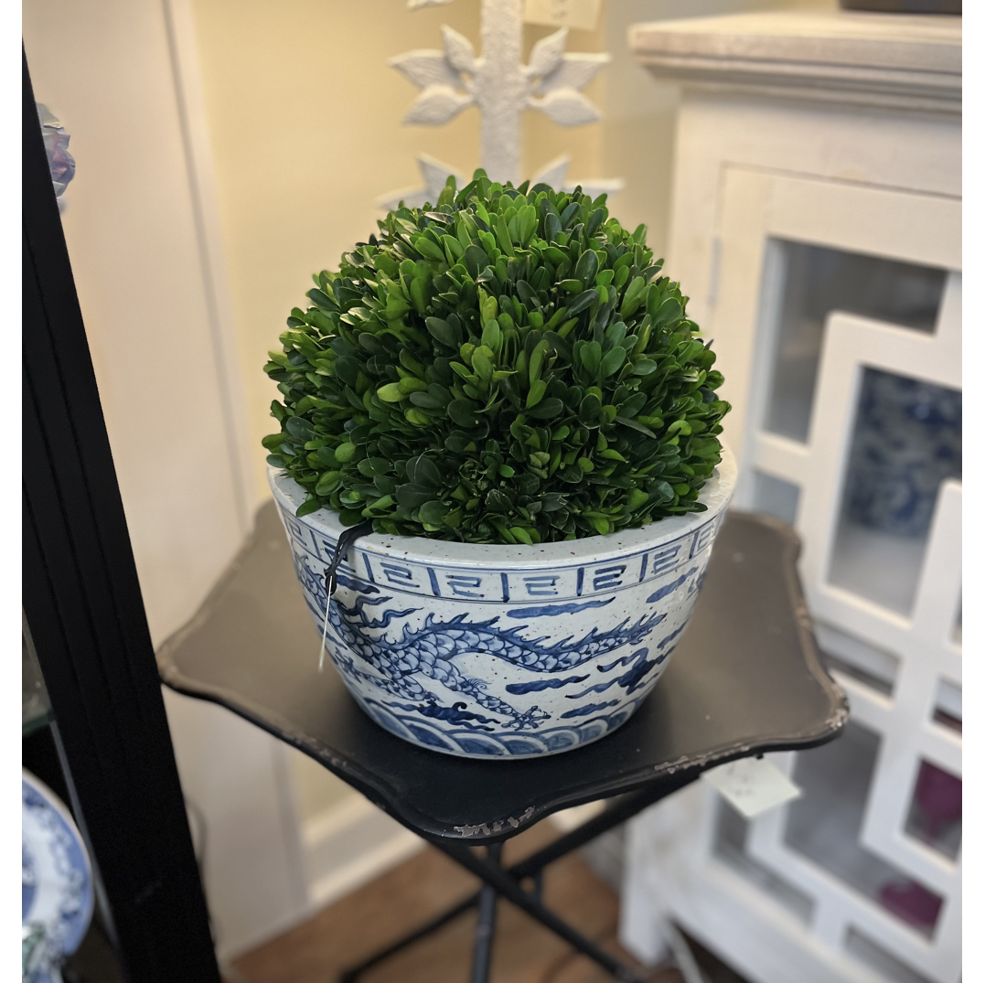 Screen Shot 2024-08-06 at 9.11.27 AM.png