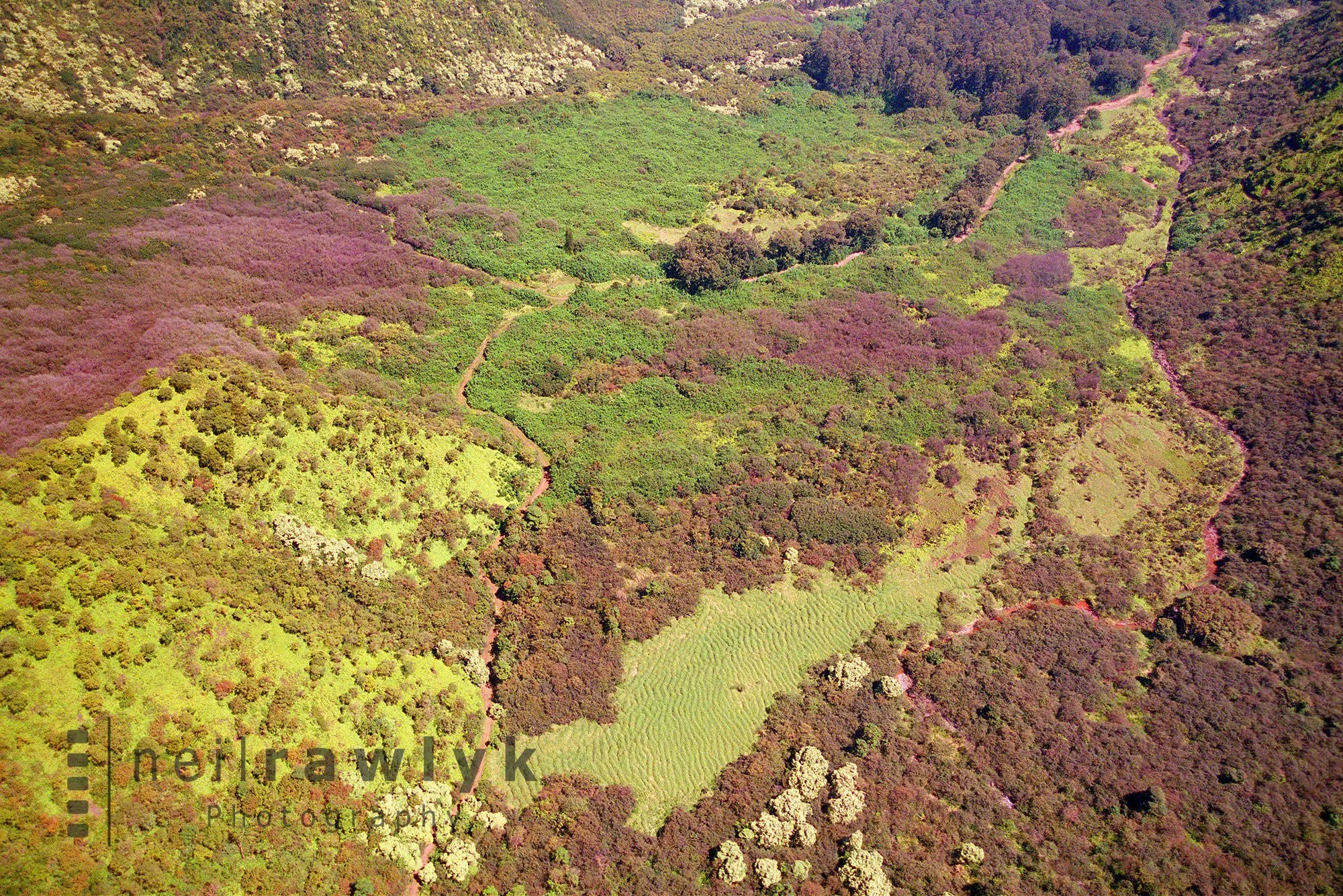 Waimea Aerial Photograph