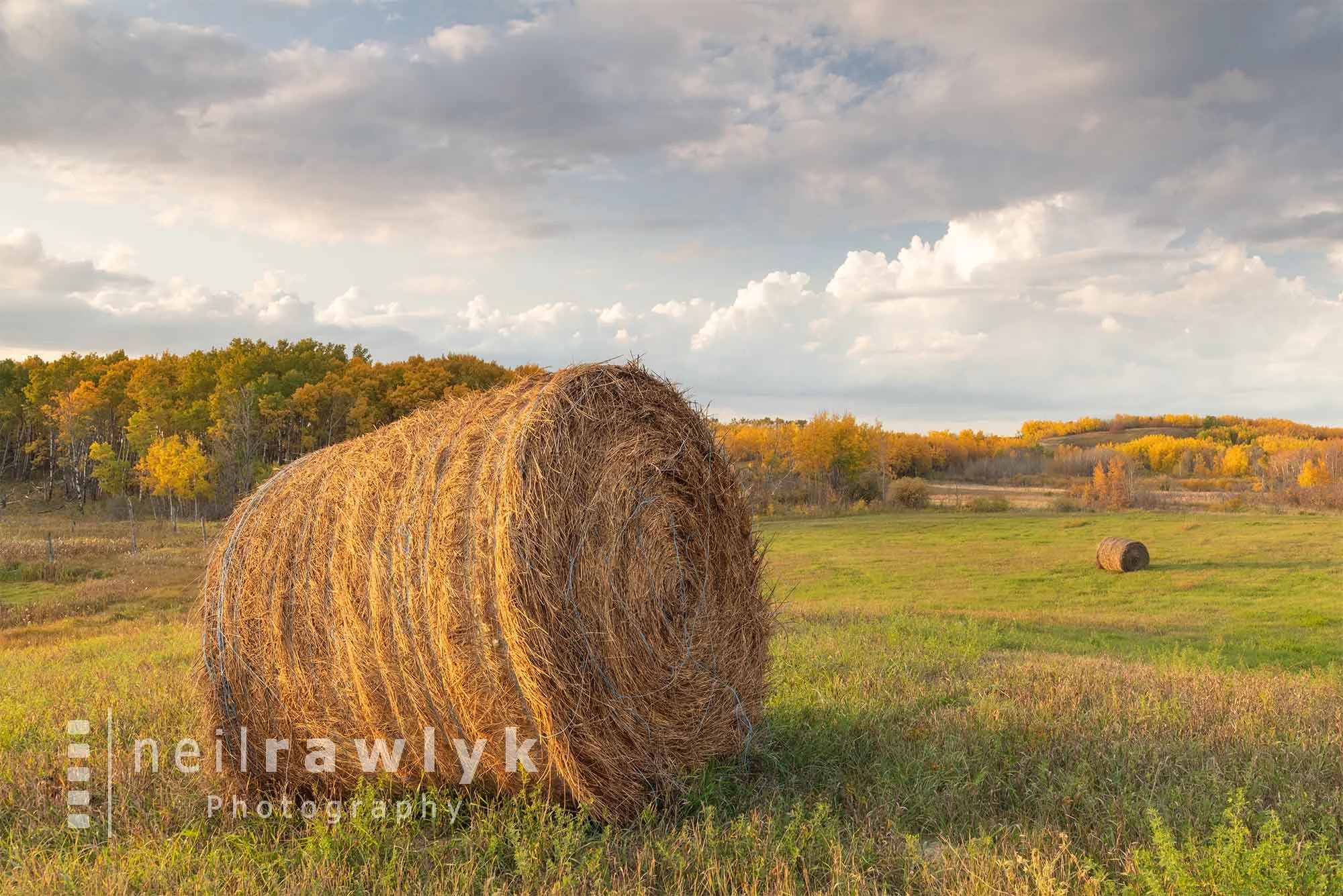 A round straw bale in a pasture with colourful trees