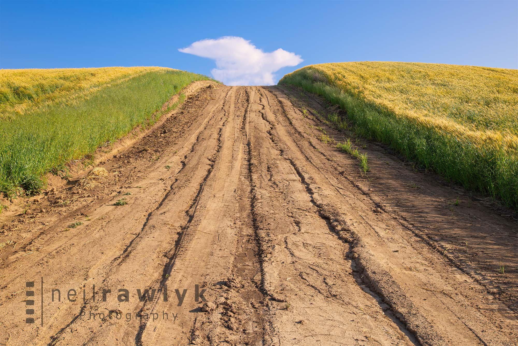 A Dirt Road through a Field leading to a Cloud