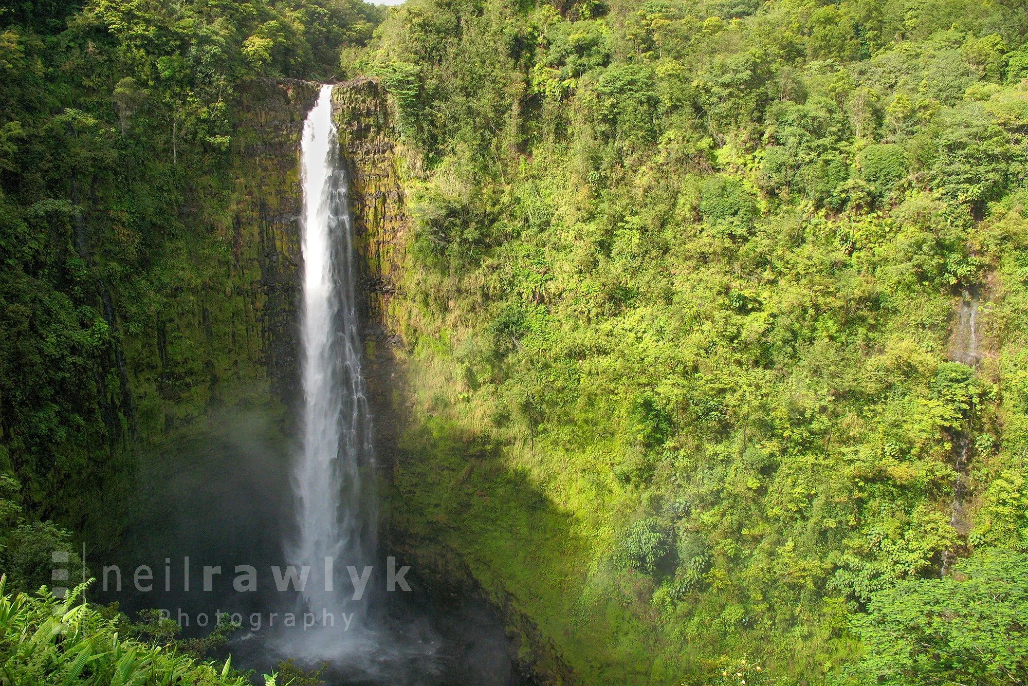 Akaka Falls on the big island of Hawaii