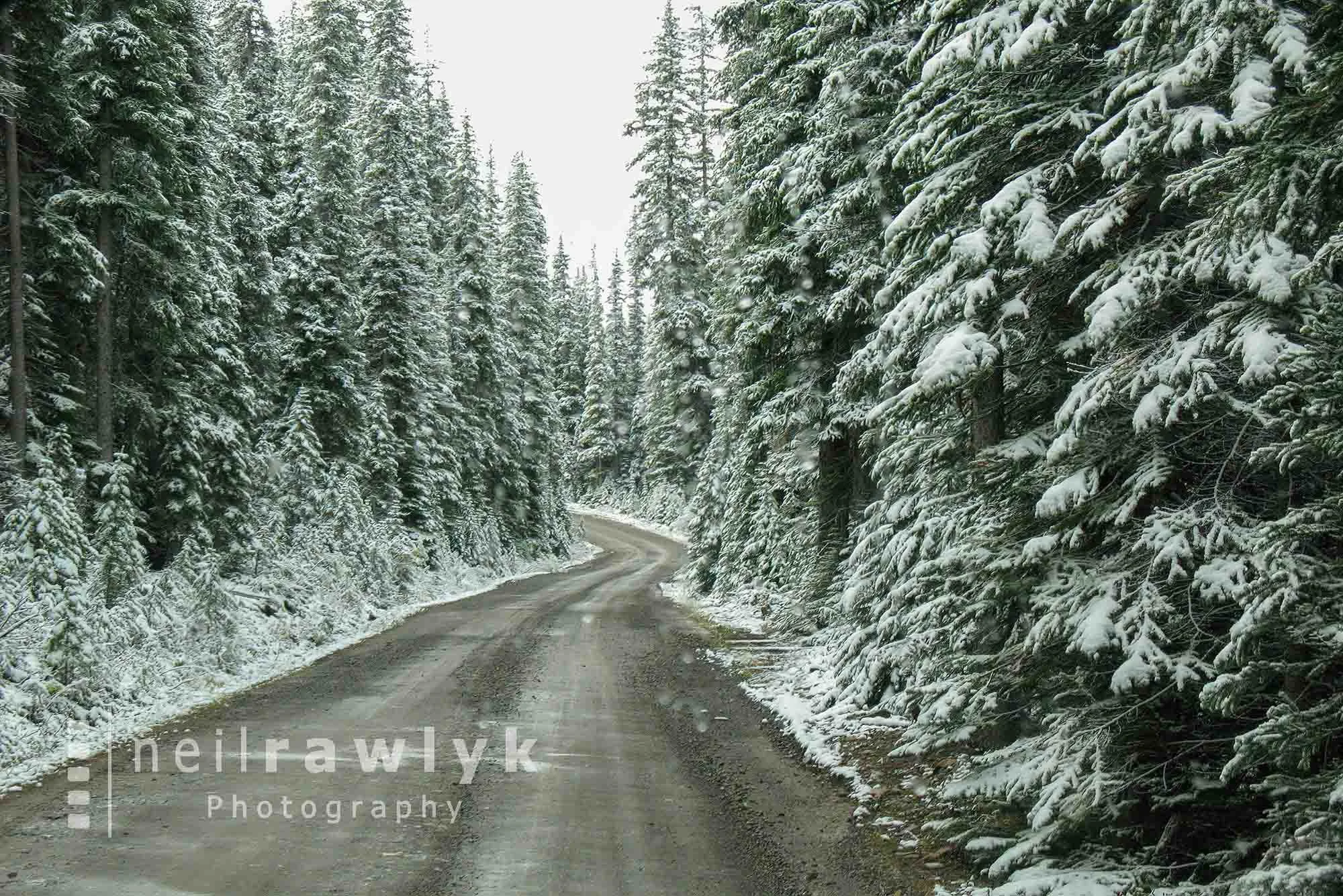 Lake O'Hara Road after a snowfall