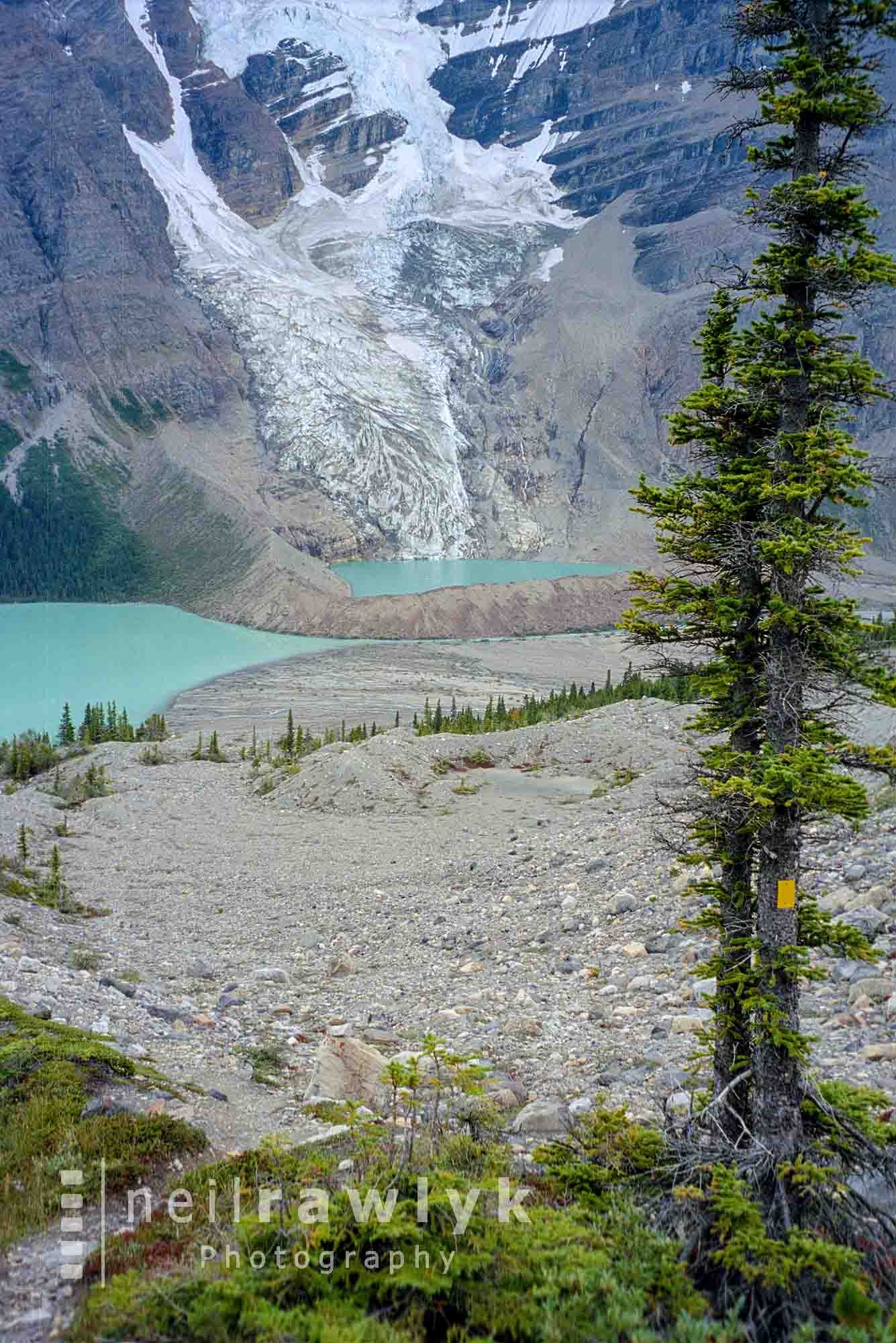 The Mist Glacier from the Hargreaves Glacier trail
