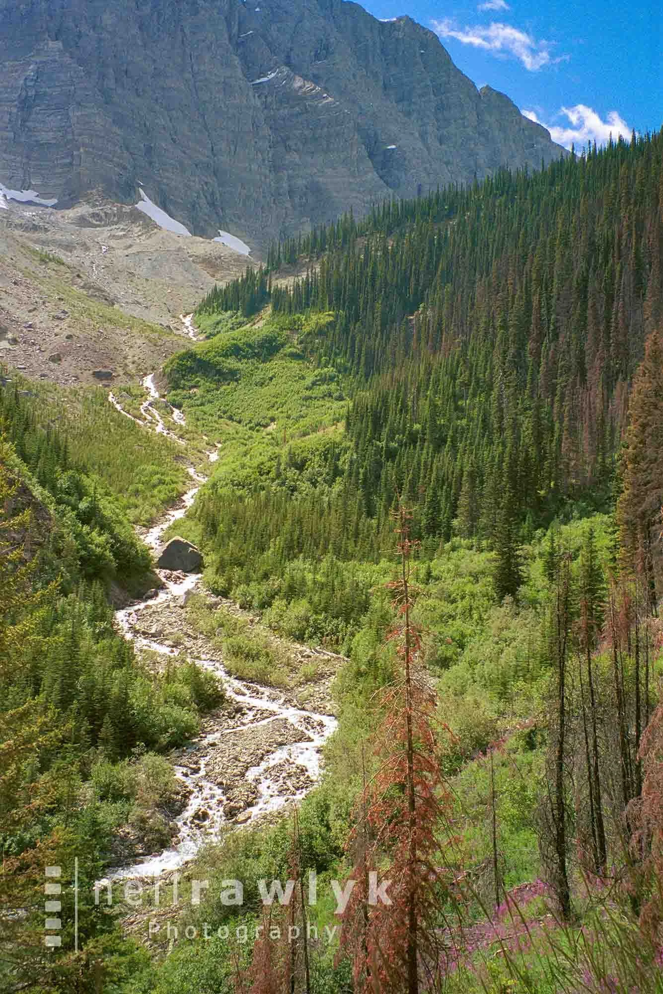 The valley headwall leading to Floe Lake