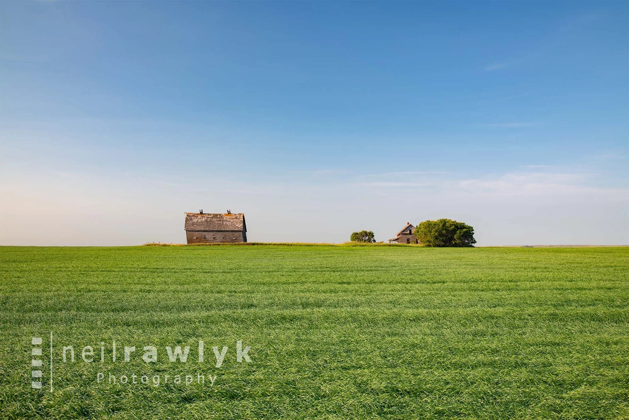 An Abandoned Homestead in a Green Field