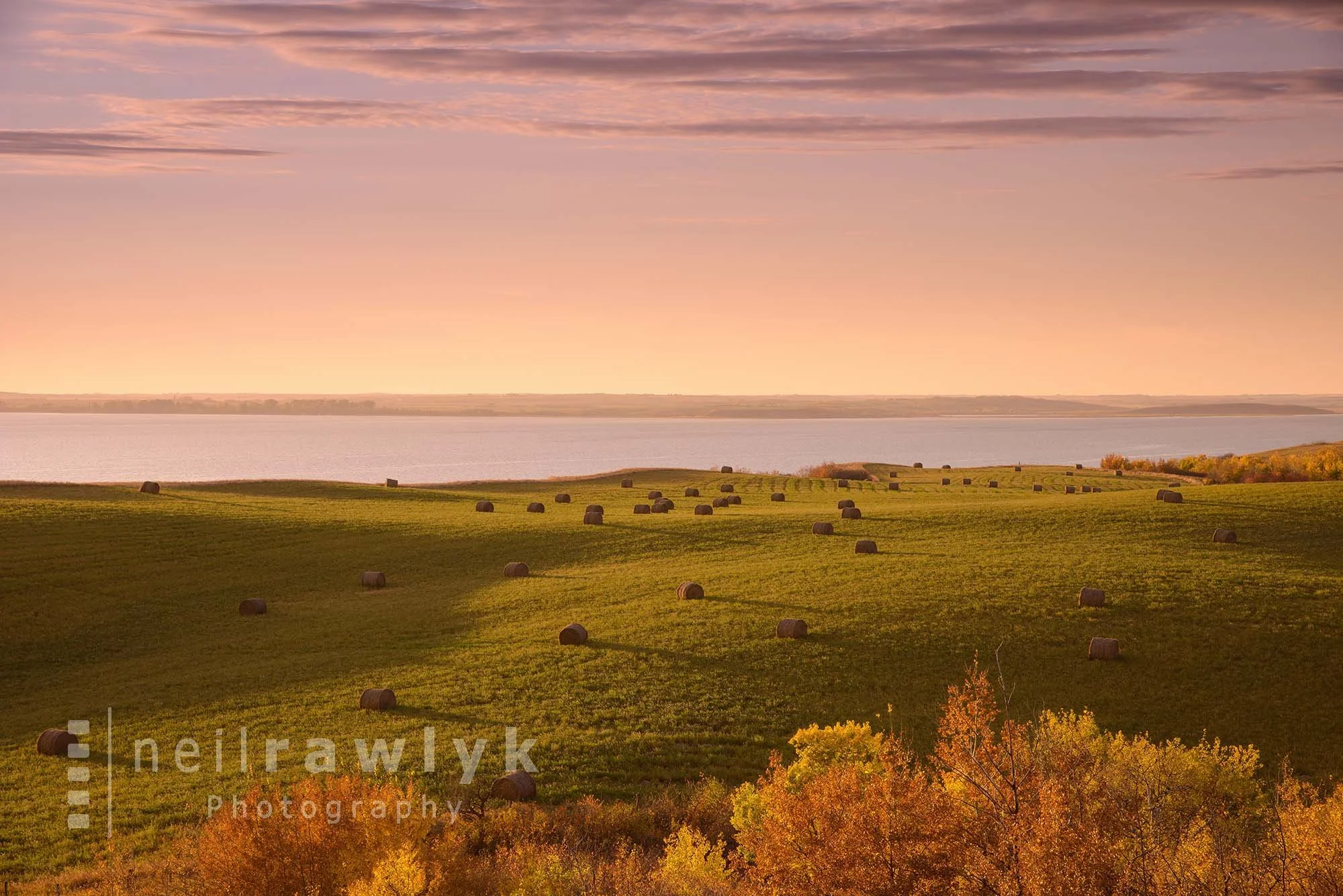 Autumn colours, round bales in a field and Jackfish Lake at sunset