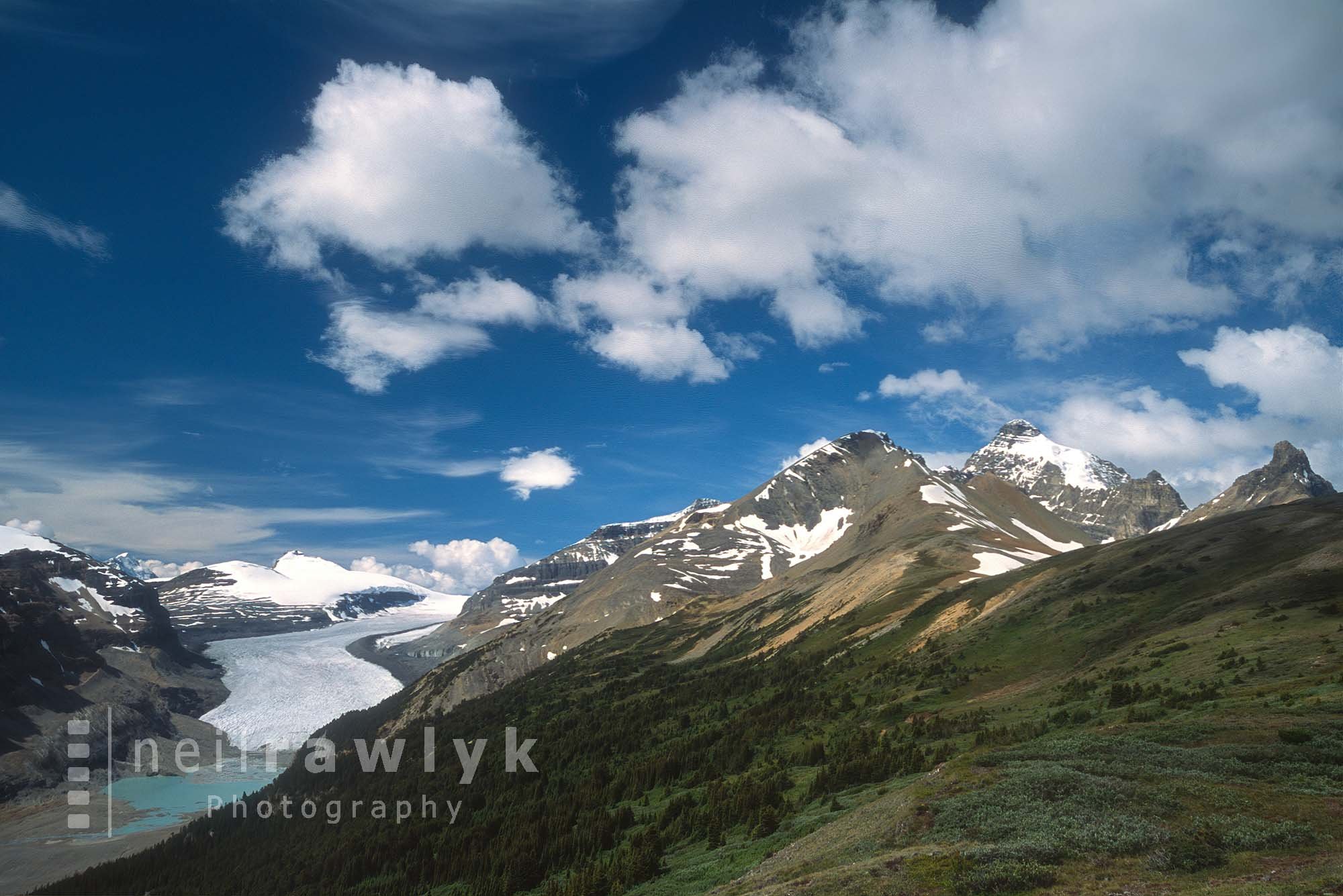 Saskatchewan Glacier seen from Parker Ridge