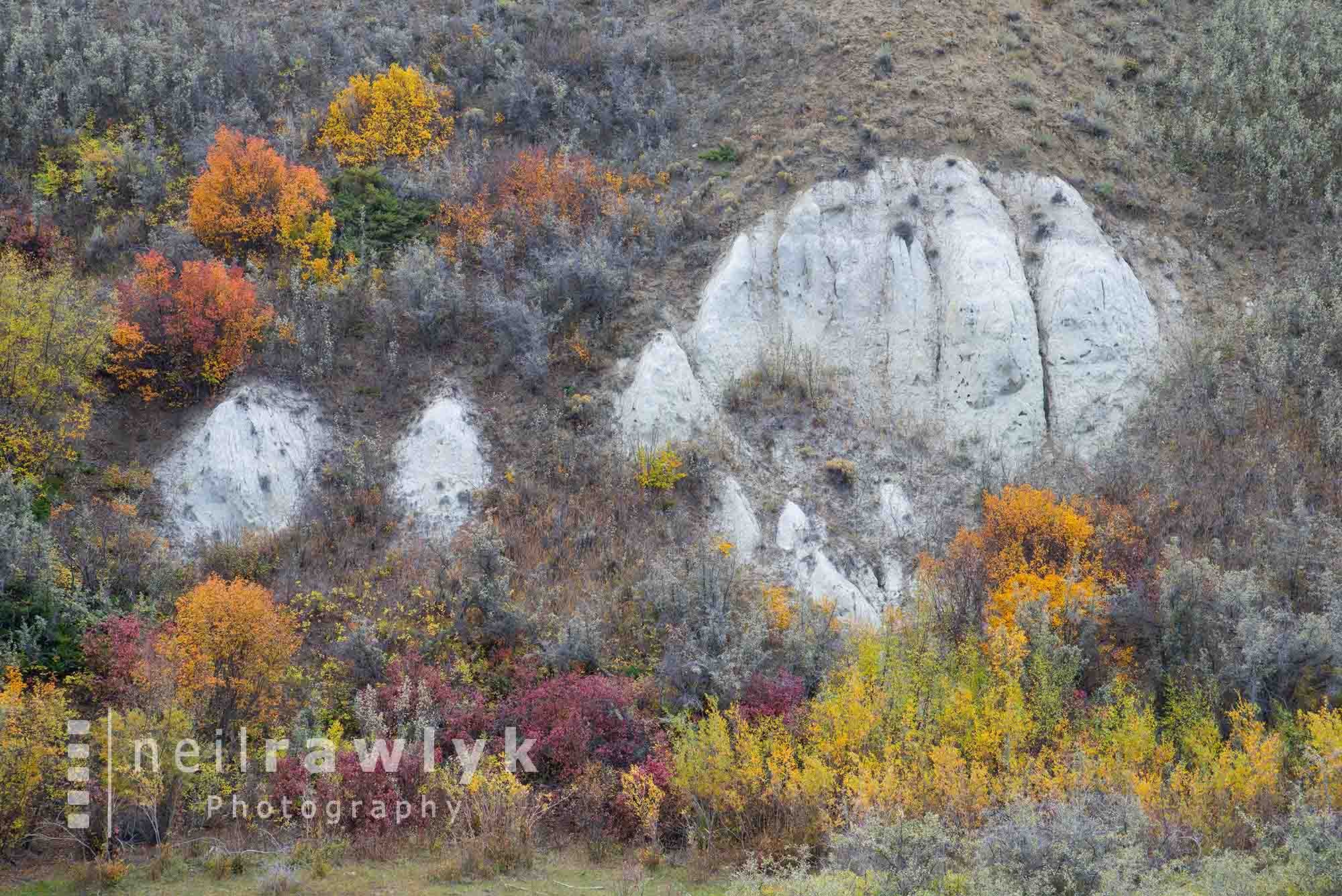 White Mud Cliffs in Autumn