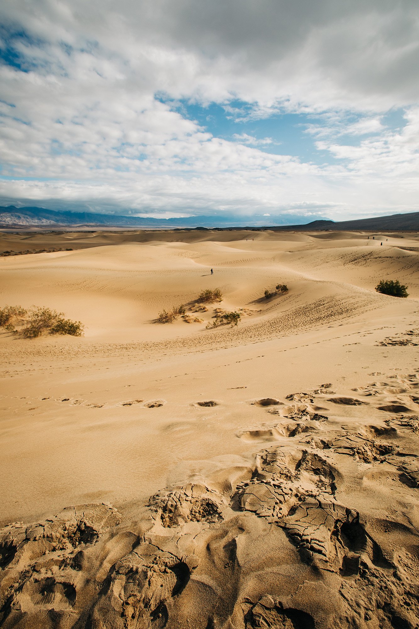 Footprint in the sand on the Mesquite Sands Dunes in Death Valley National Park.