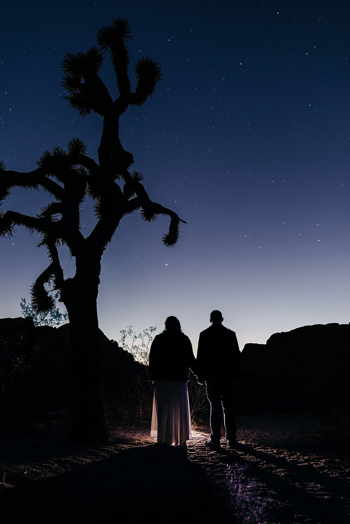 A man and woman hold hands under the stars and Joshua trees on their wedding day.