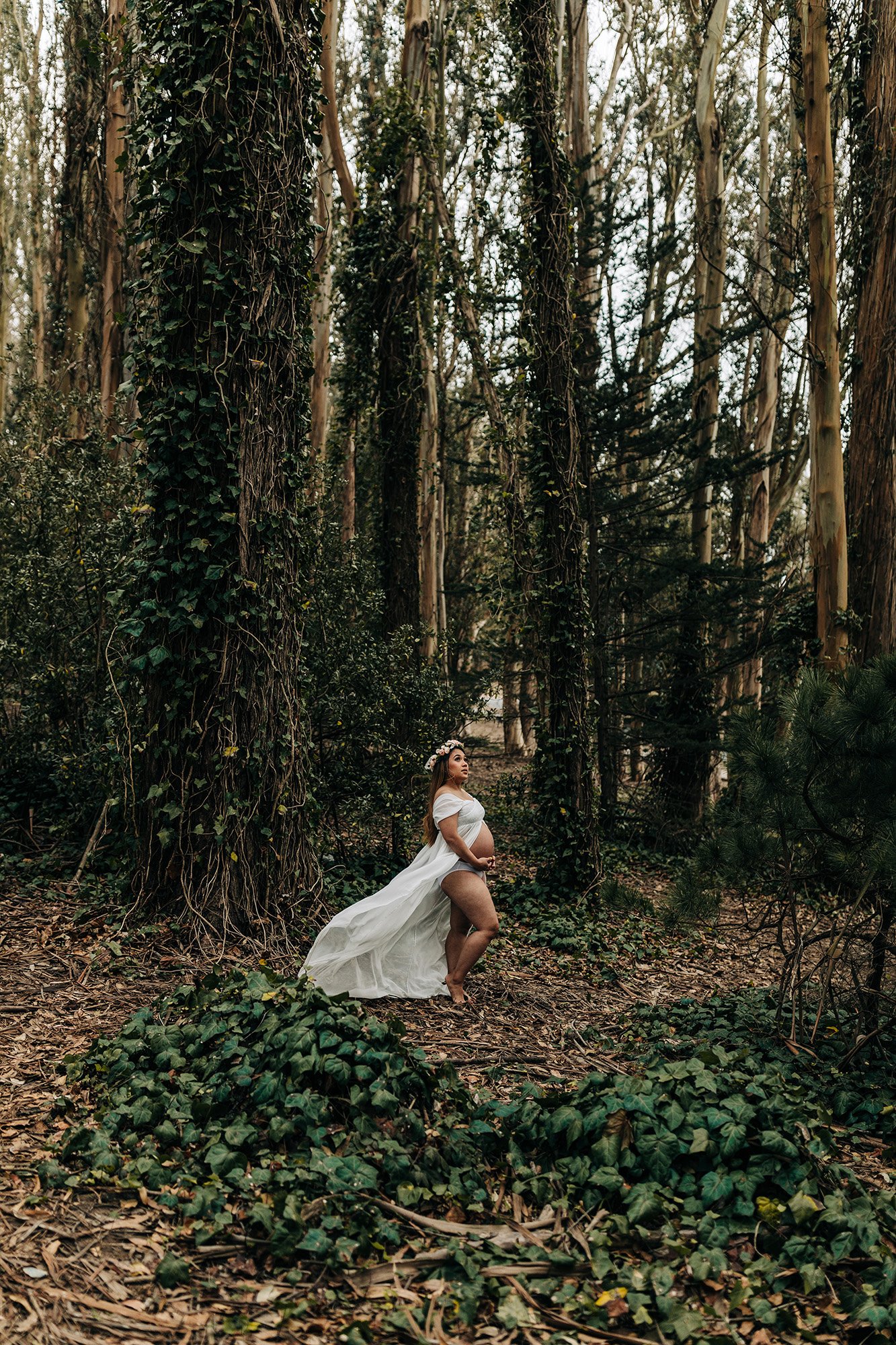 A pregnant woman stands in an iconic forest in San Francisco.