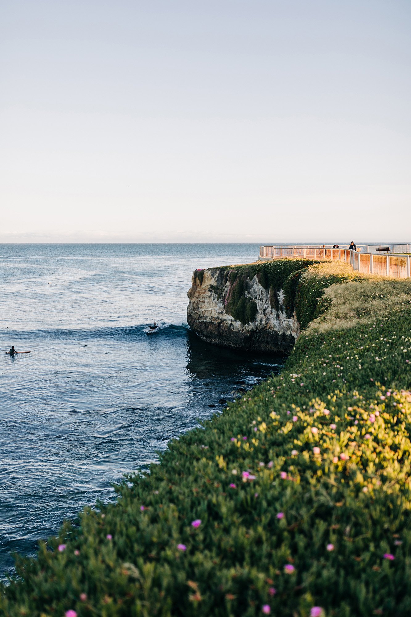 A view of the water from a cliff in Santa Cruz, California.