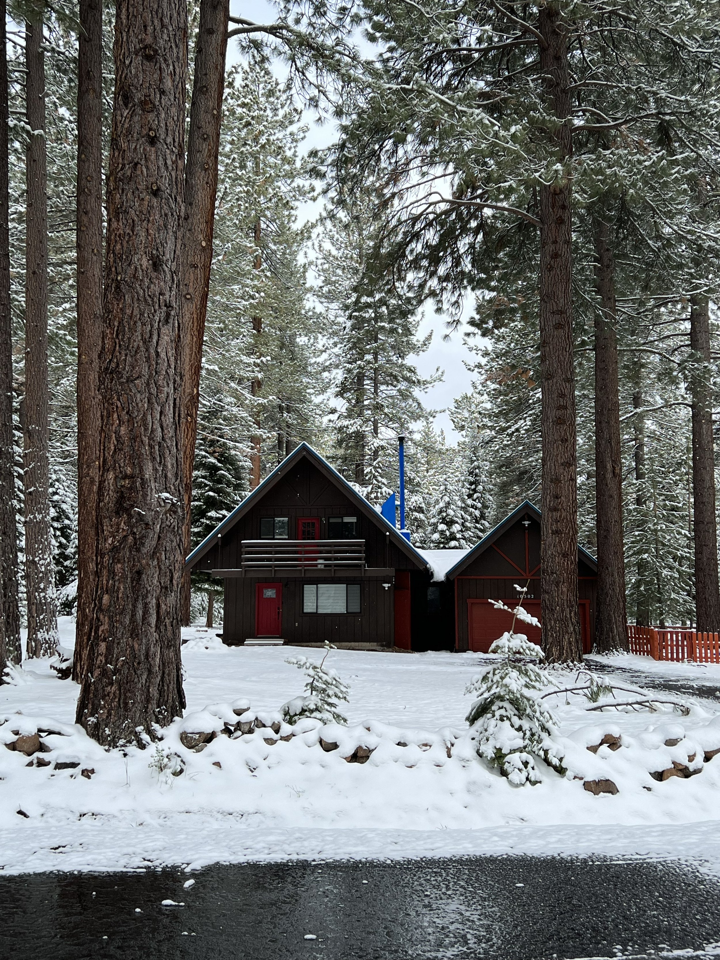 true-elopement-lake-tahoe-california-6.jpg