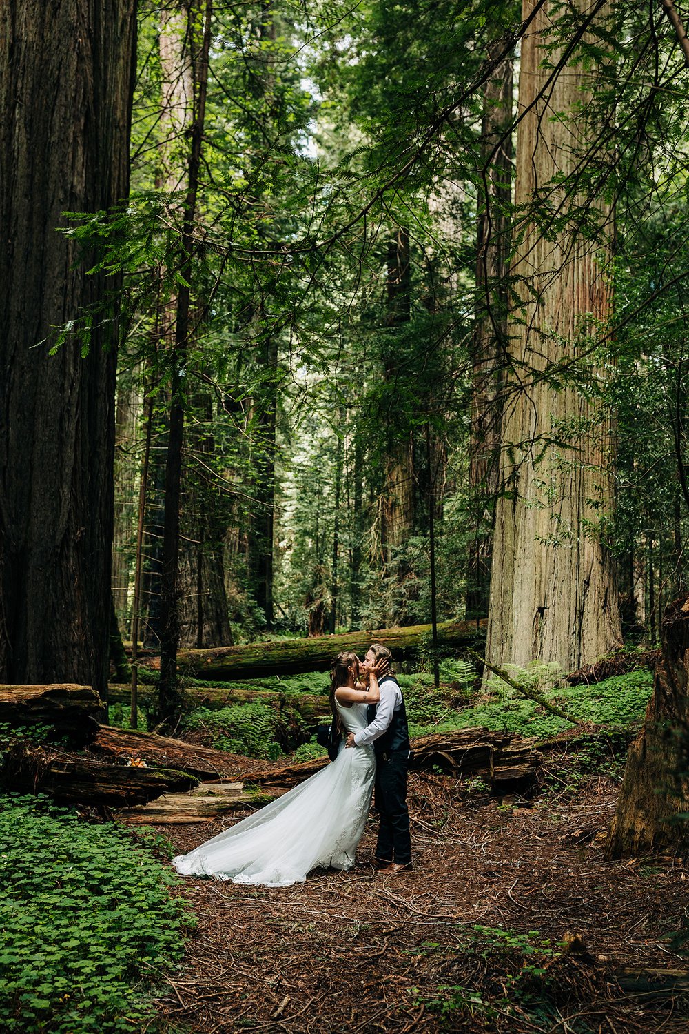 humboldt-redwoods-elopement-25.jpg