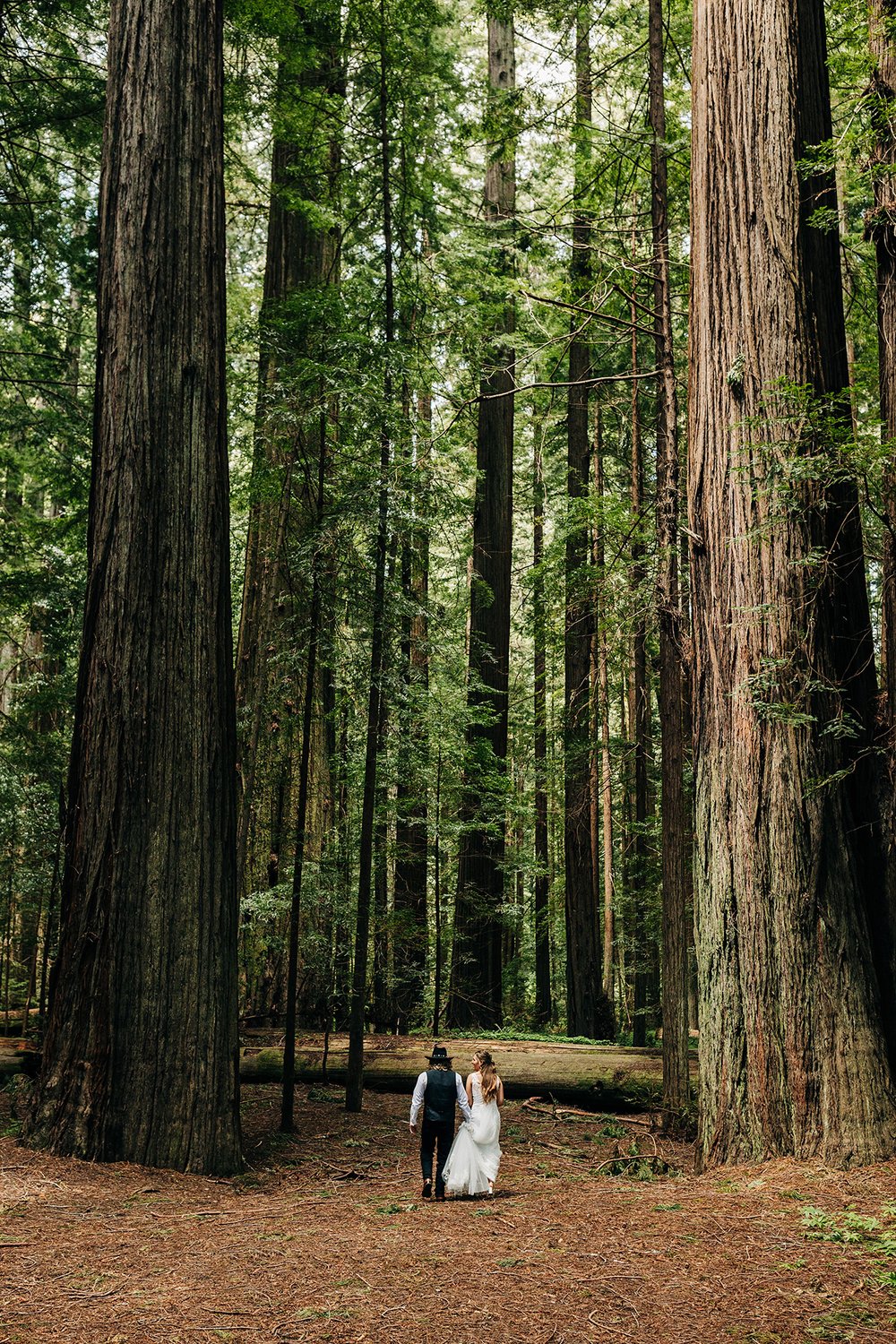 humboldt-redwoods-elopement-36.jpg
