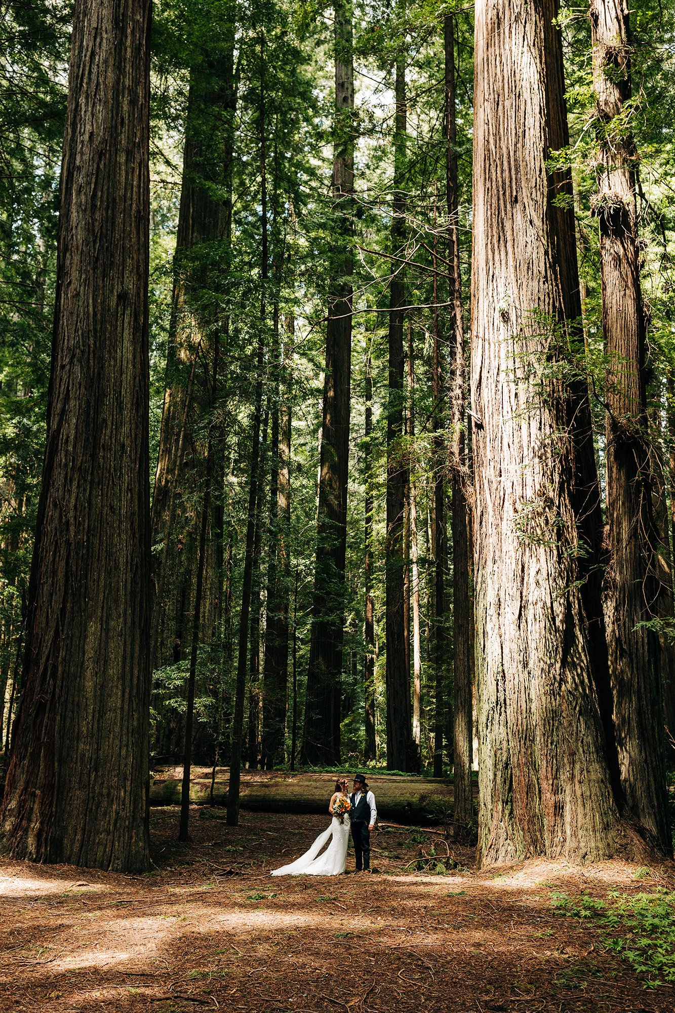 humboldt-redwoods-elopement-37.jpg