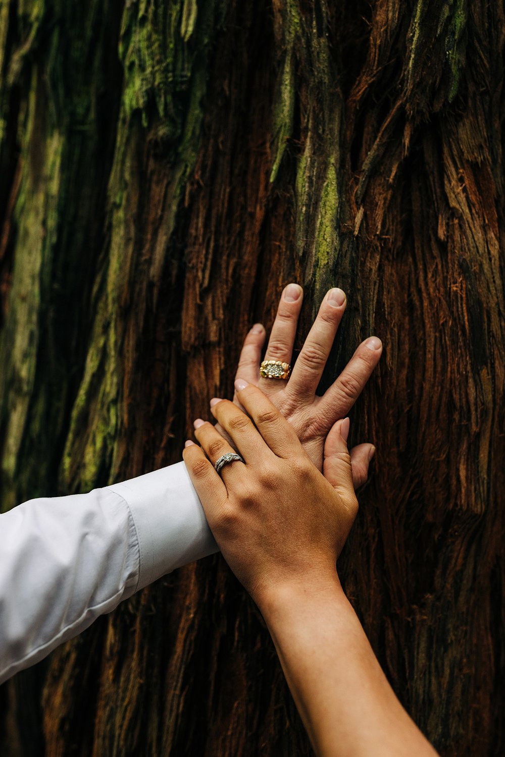humboldt-redwoods-elopement-53.jpg
