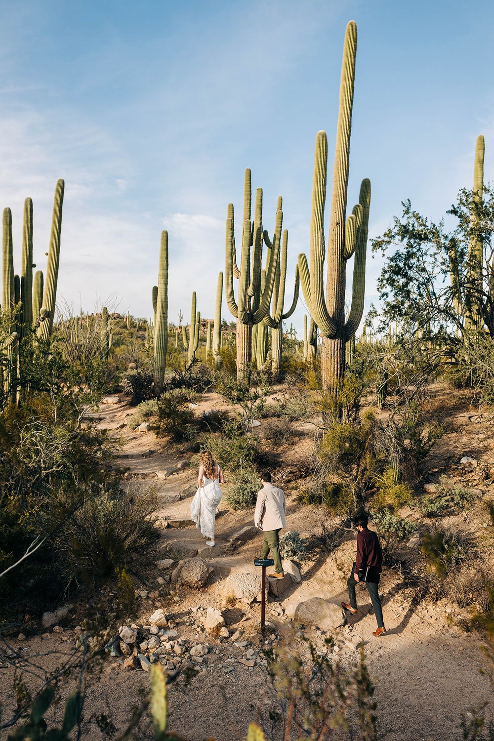 sunny-saguaro-national-park-elopement-26.jpg