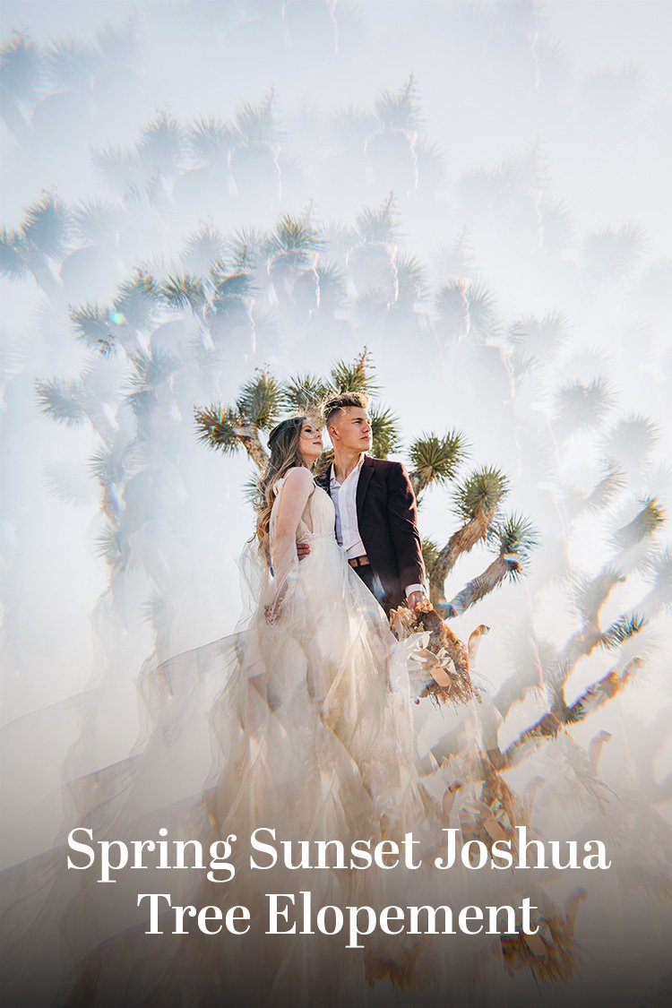 A couple stands in front of a Joshua Tree with the text "Spring Sunset Joshua Tree Elopement".
