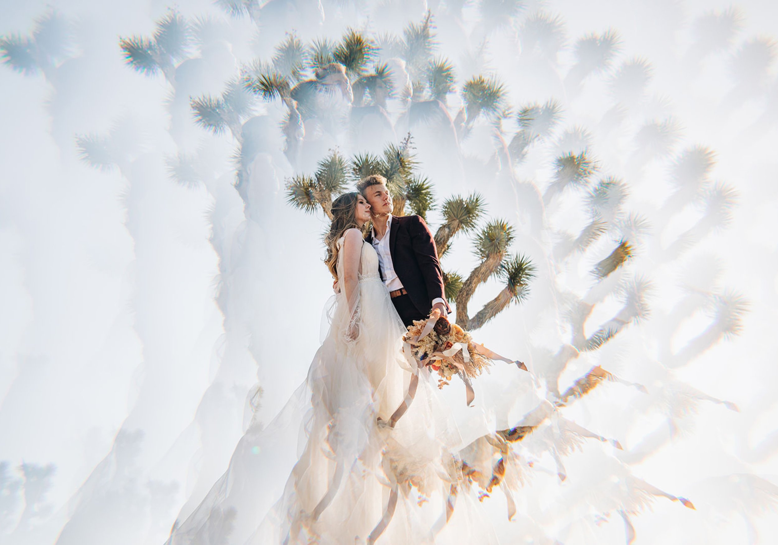 Newlywed couple looking off into the distance with a cactus behind them