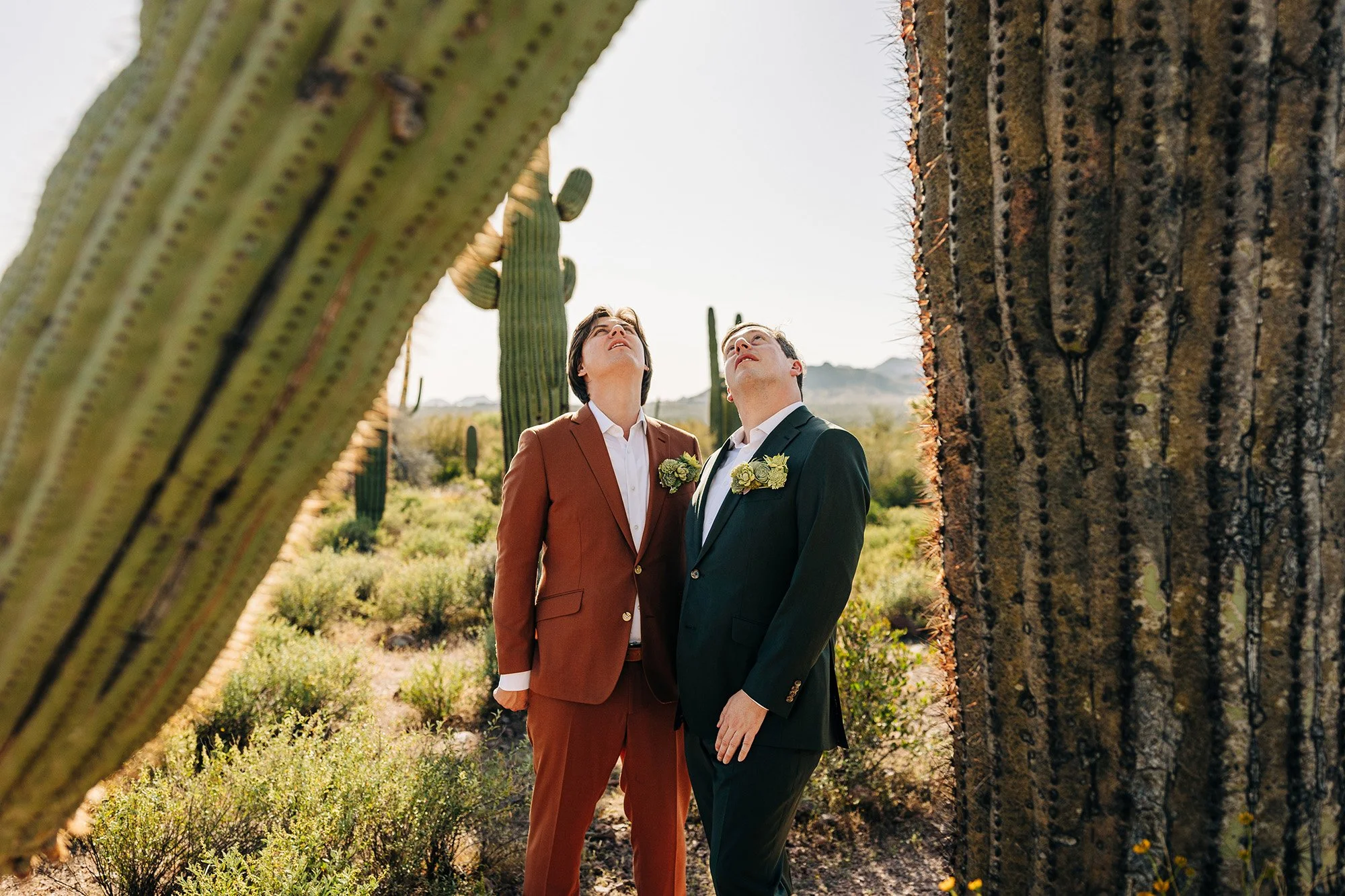 spring-lost-dutchman-wedding-23.jpg