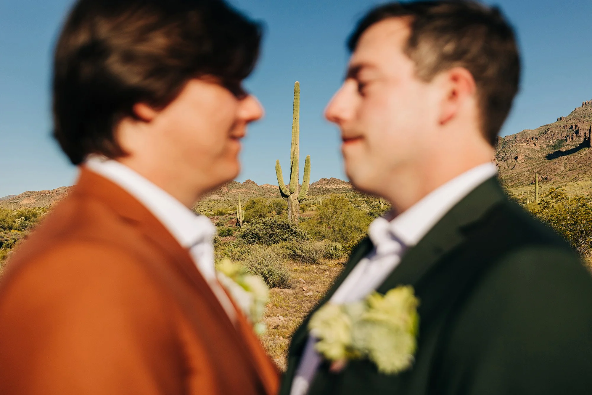spring-lost-dutchman-wedding-35.jpg