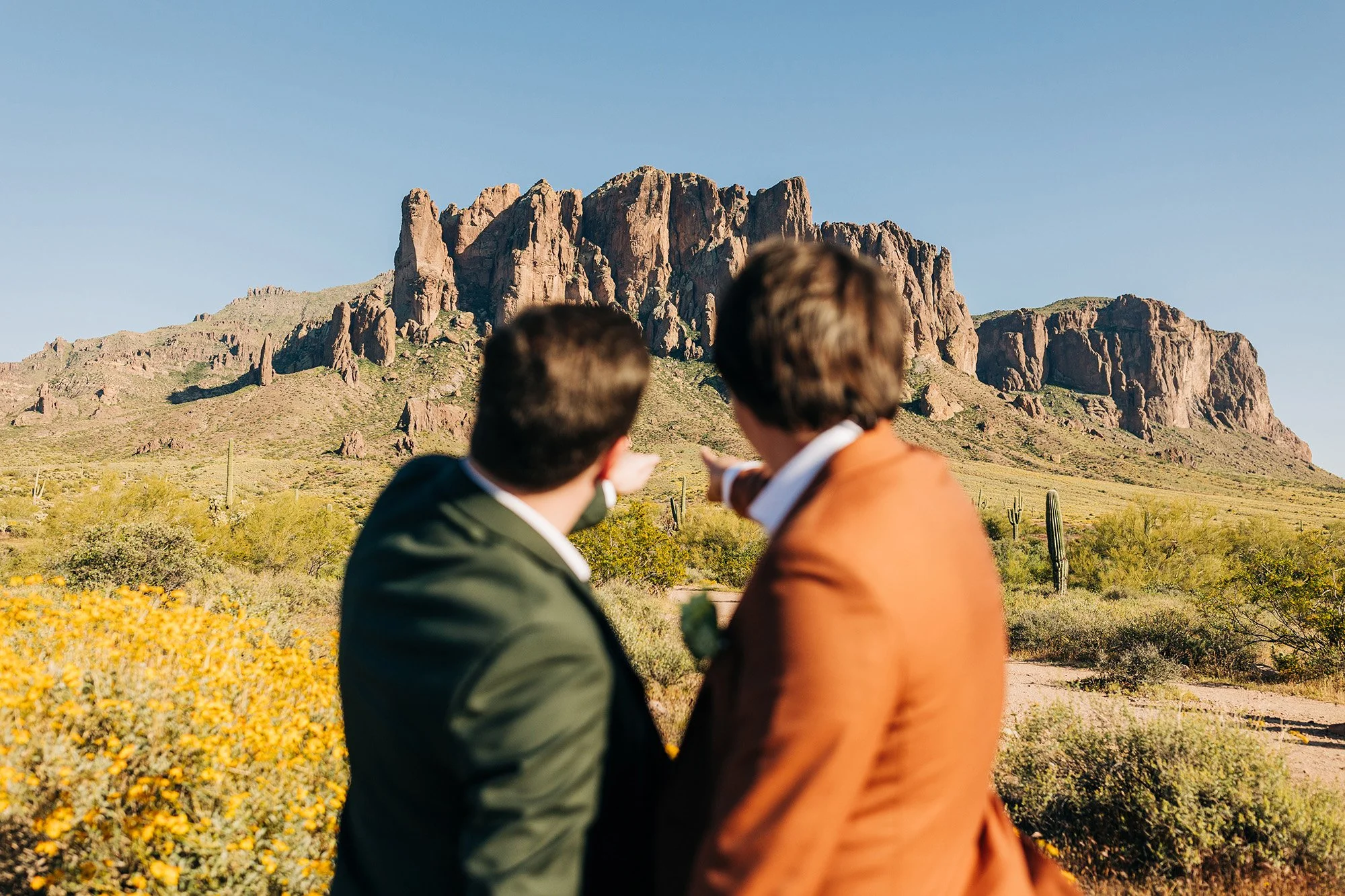 spring-lost-dutchman-wedding-34.jpg
