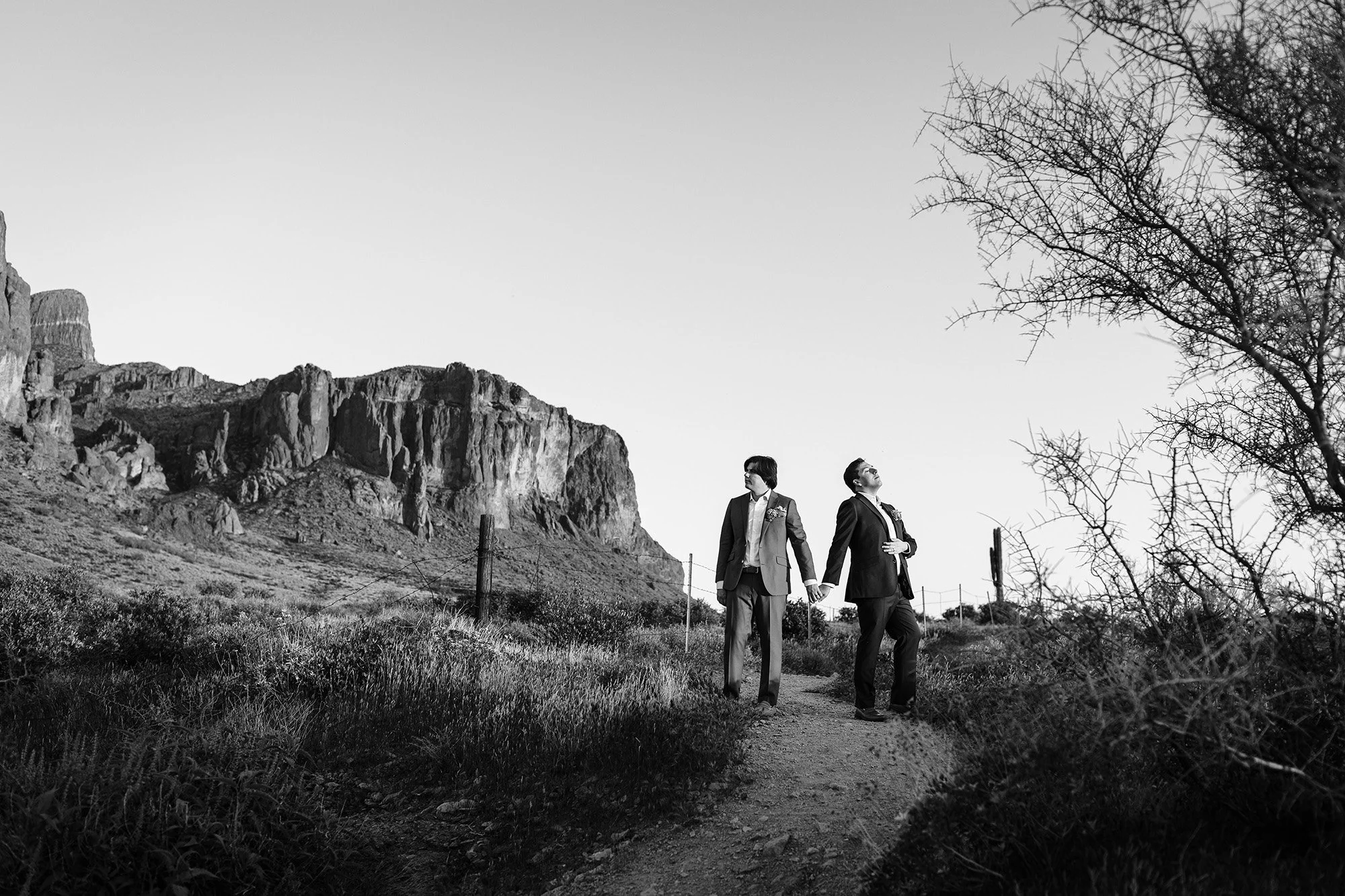 spring-lost-dutchman-wedding-87.jpg