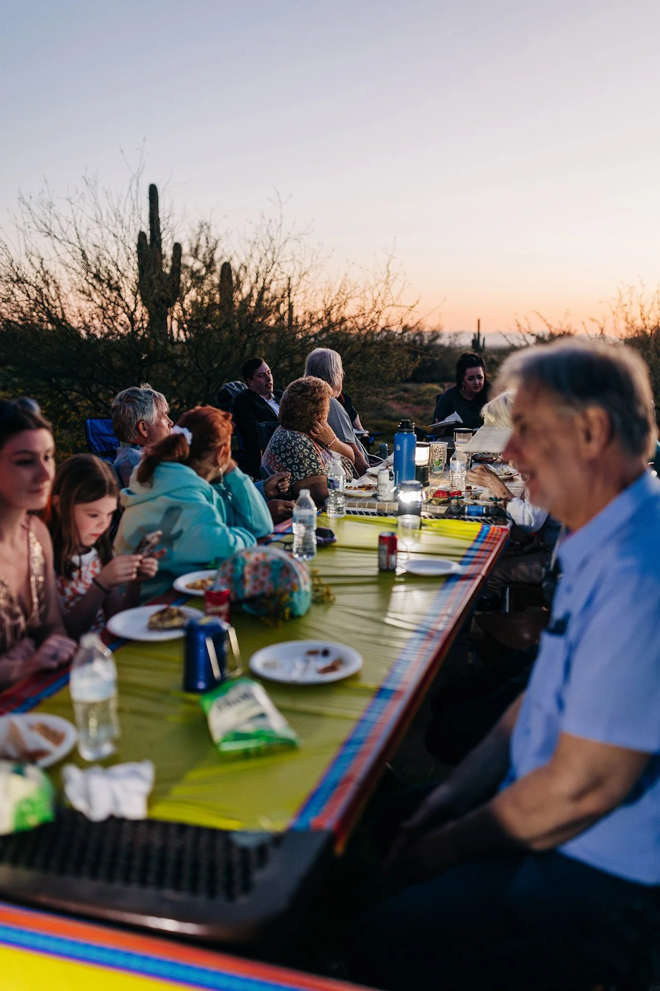 spring-lost-dutchman-wedding-105.jpg