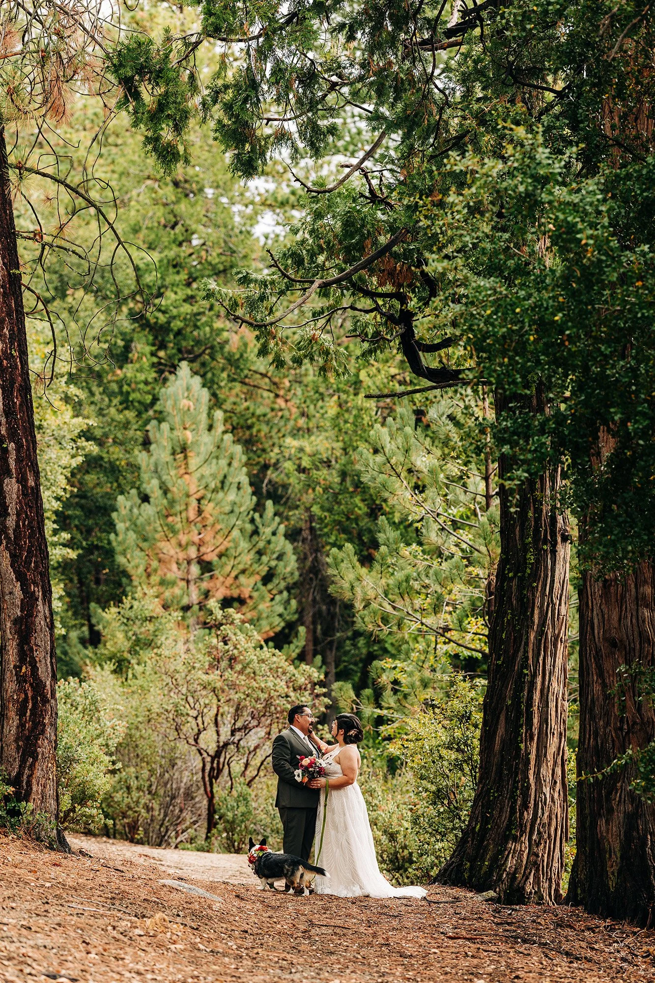 idyllwild-elopement-cabin-airbnb-73.jpg