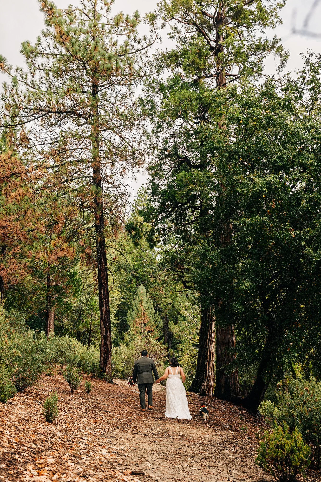 idyllwild-elopement-cabin-airbnb-69.jpg