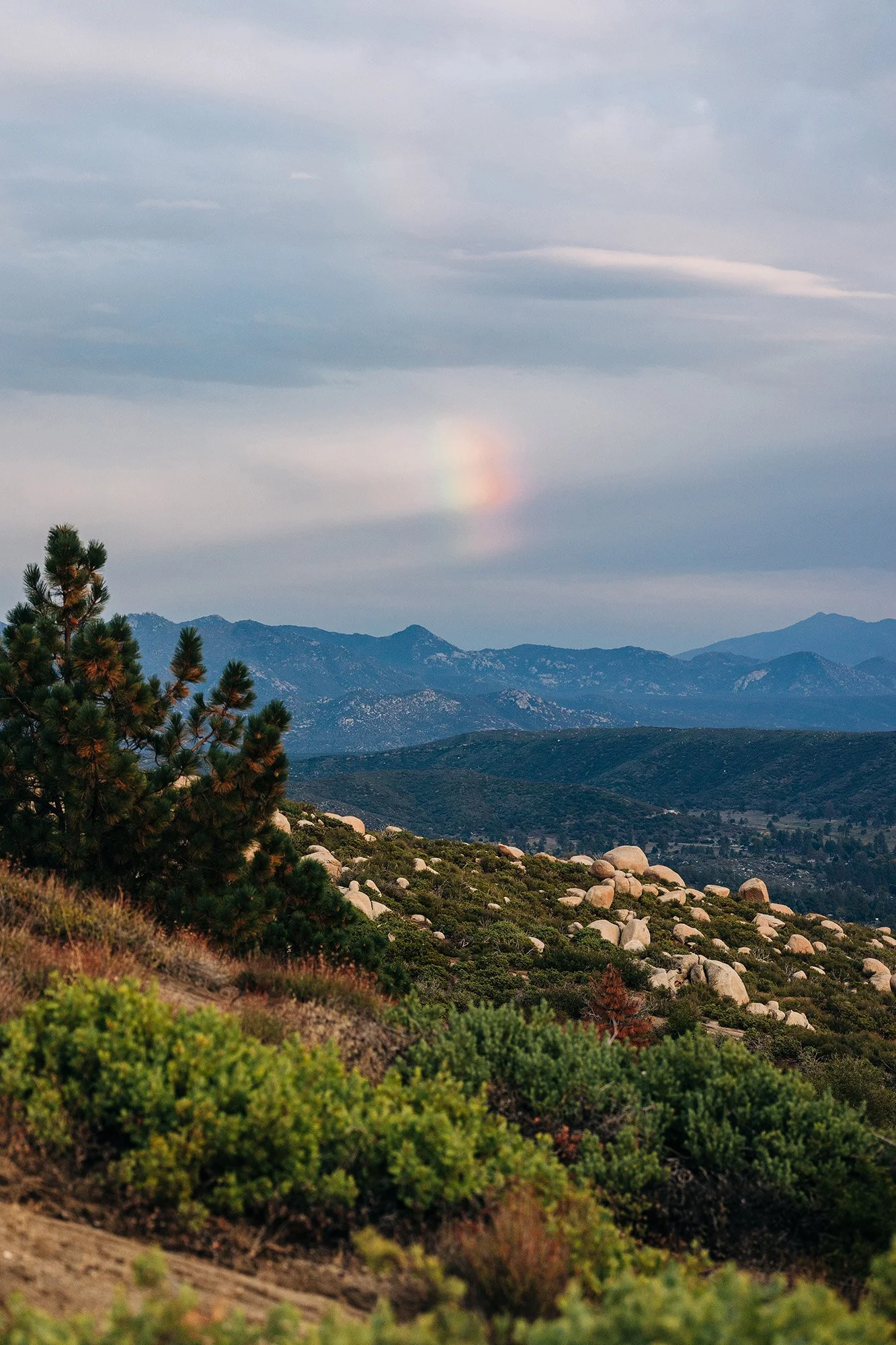 idyllwild-elopement-cabin-airbnb-99.jpg