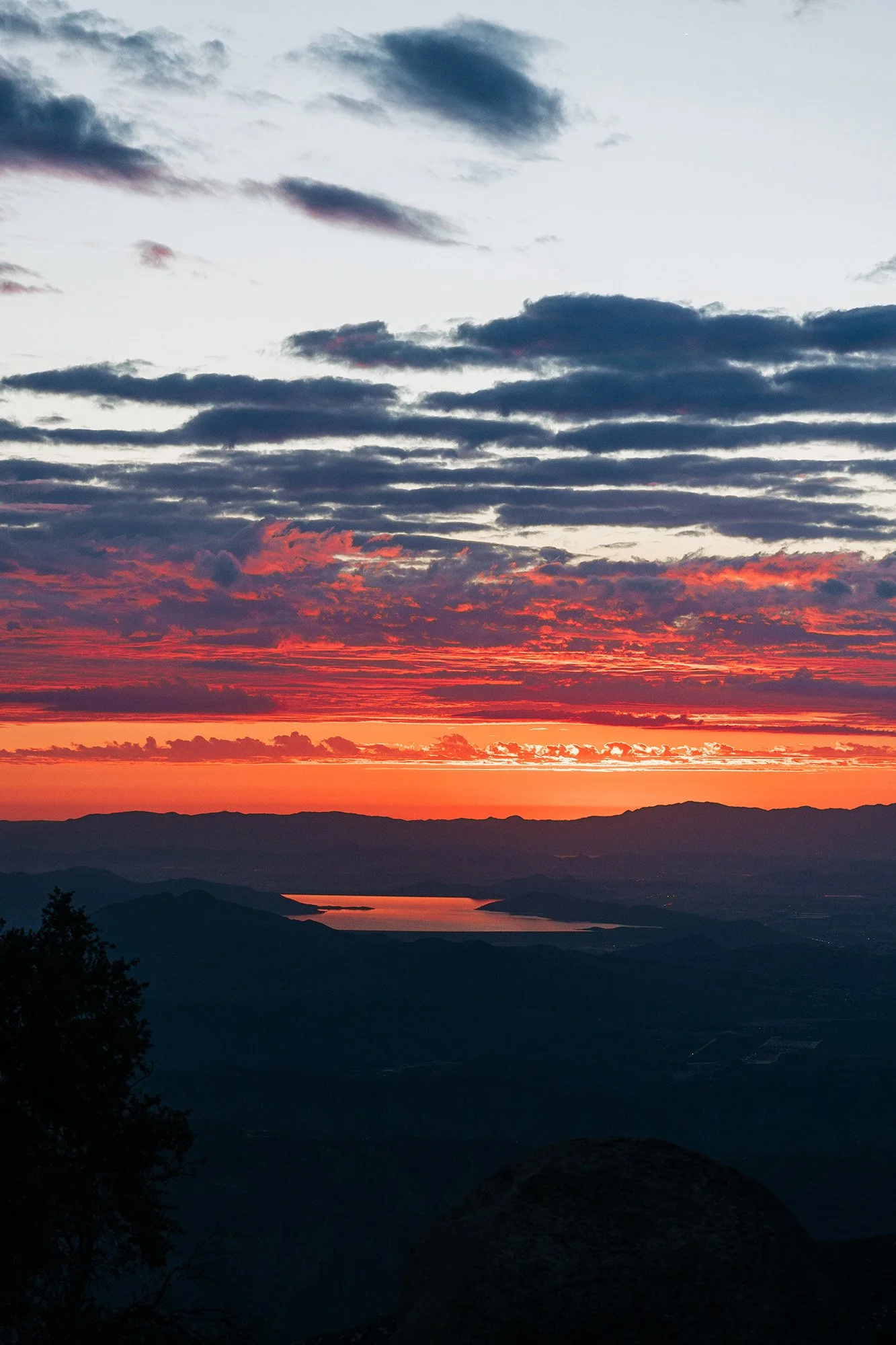 idyllwild-elopement-cabin-airbnb-133.jpg