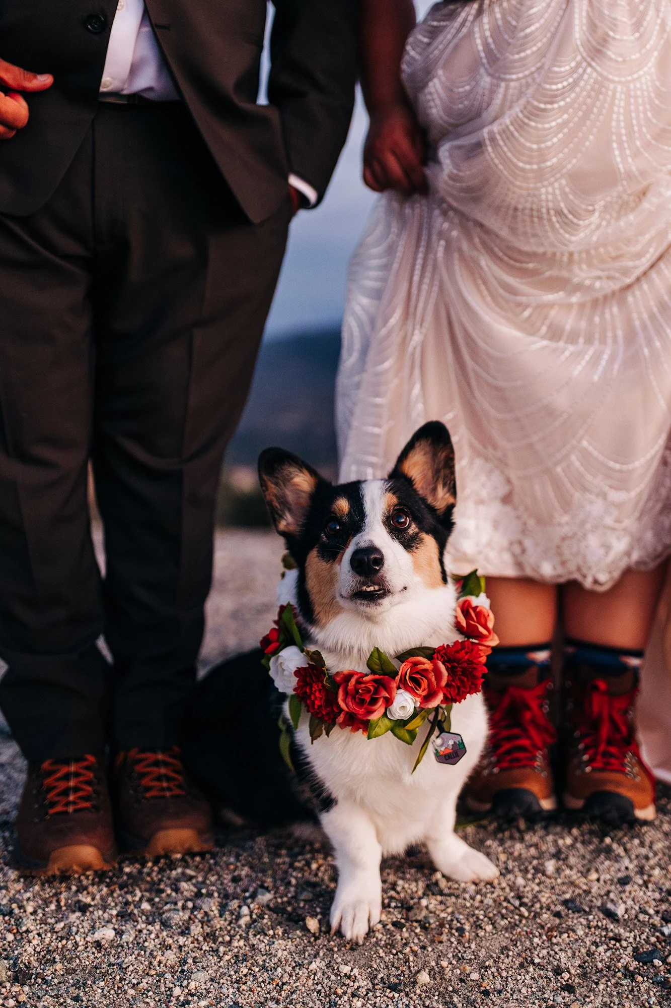 idyllwild-elopement-cabin-airbnb-139.jpg