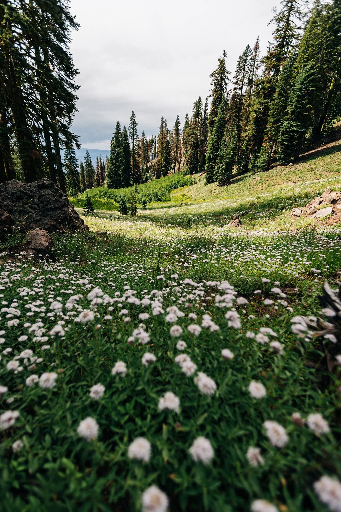 how-elope-lassen-volcanic-national-park-5.jpg