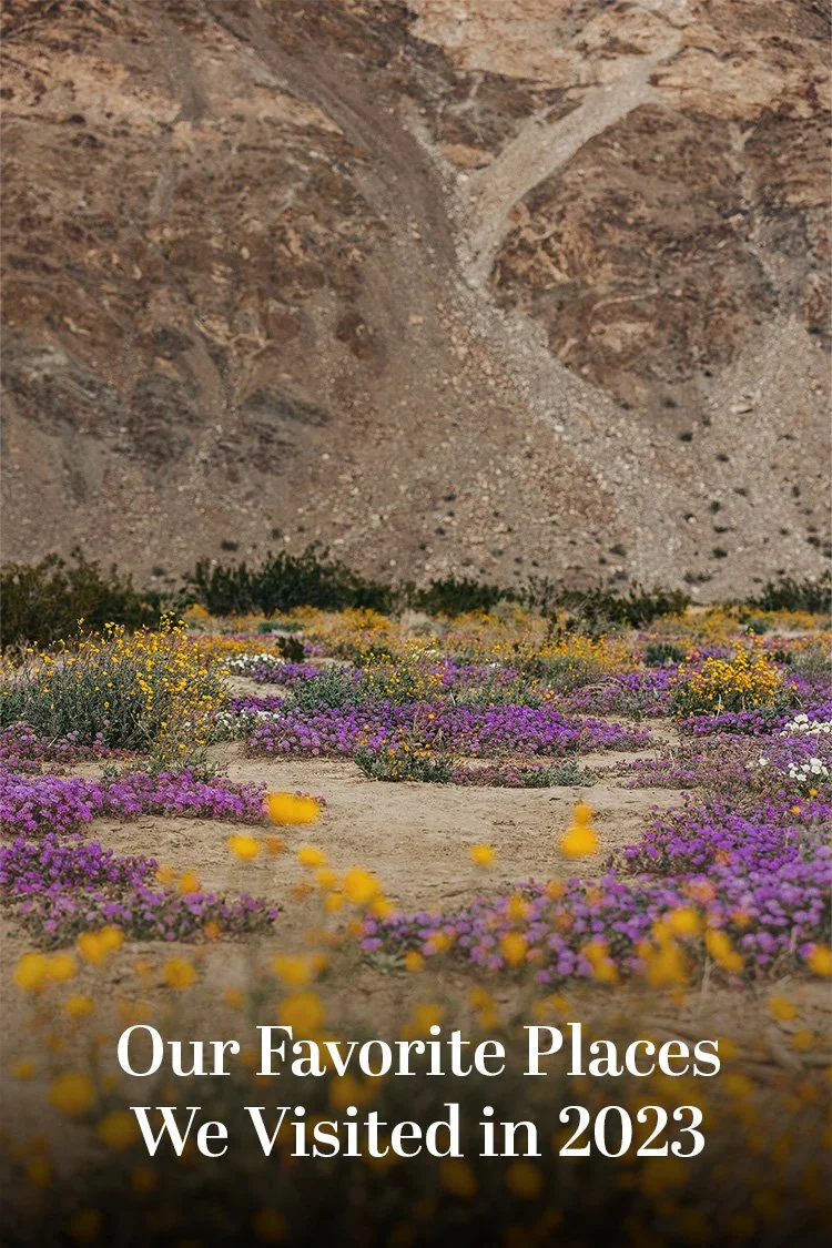 psd-guides-anza-borrego-1.jpg