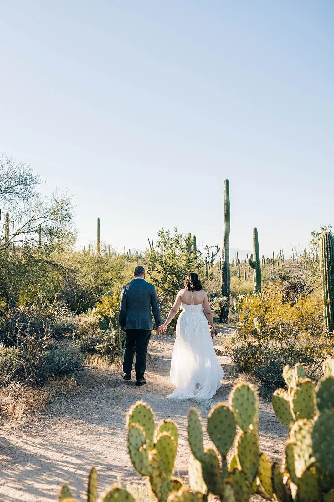 intimate-wedding-tucson-mountain-park-50.jpg